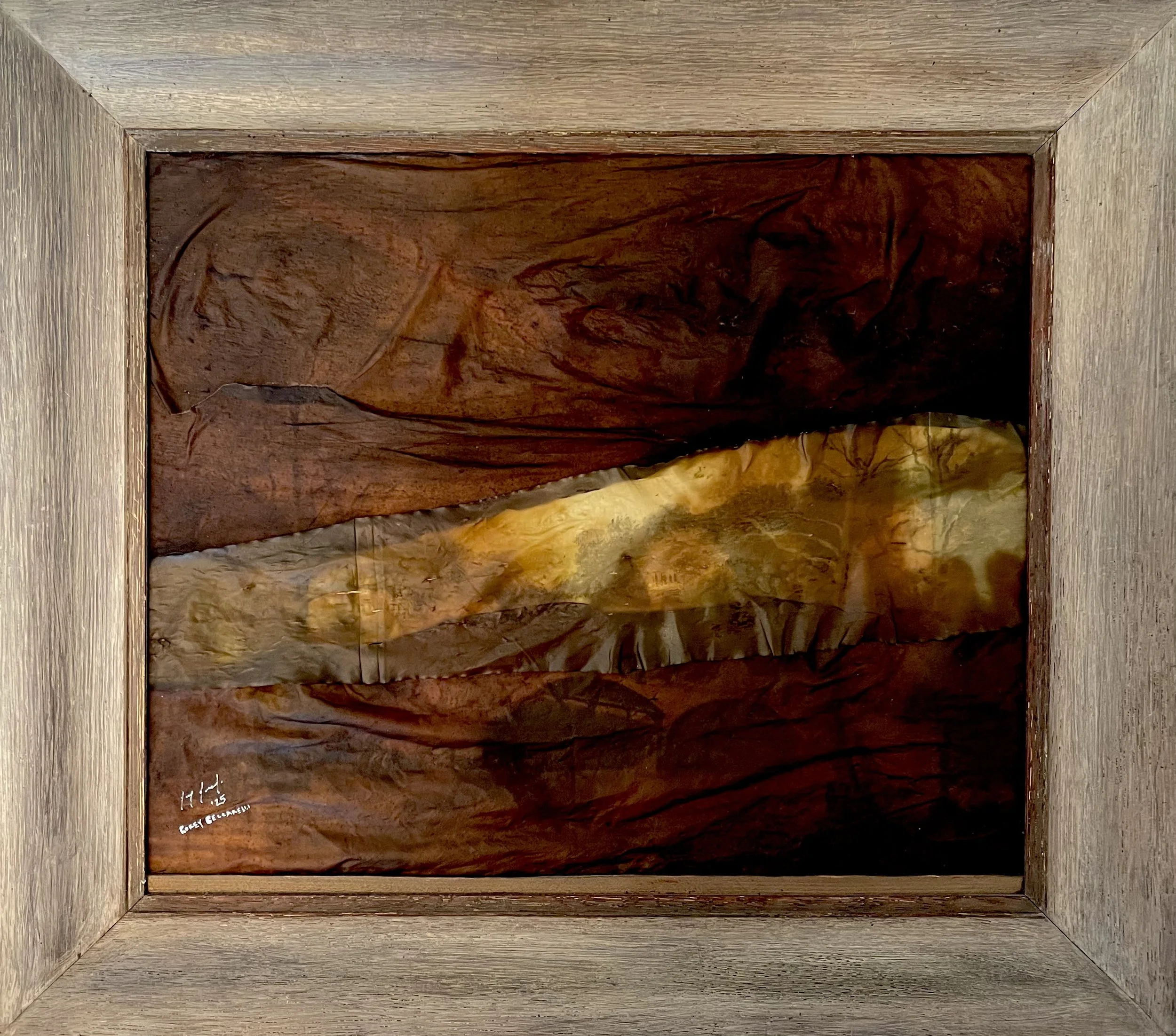 Life is Vita  |  Kelp