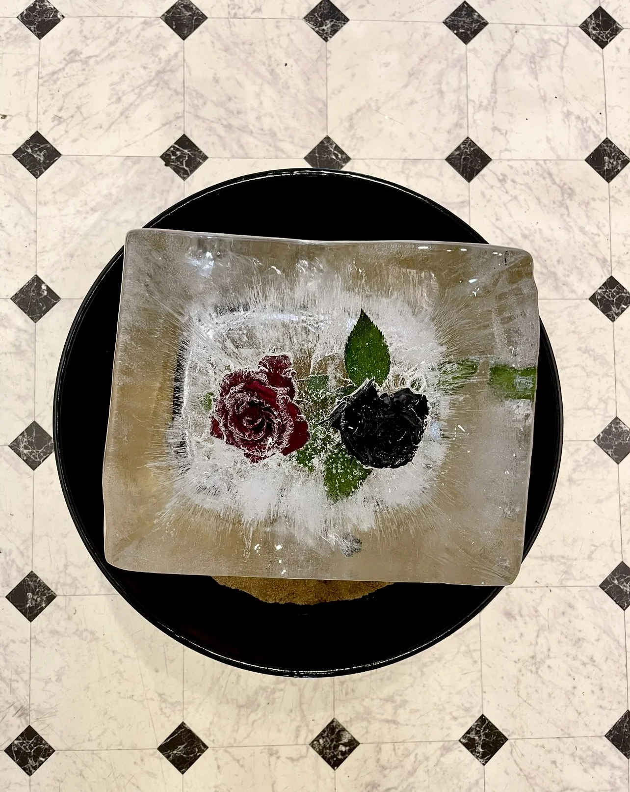 Corey Ceccarelli | Titled: Flaming Fire  | Roses in Ice 