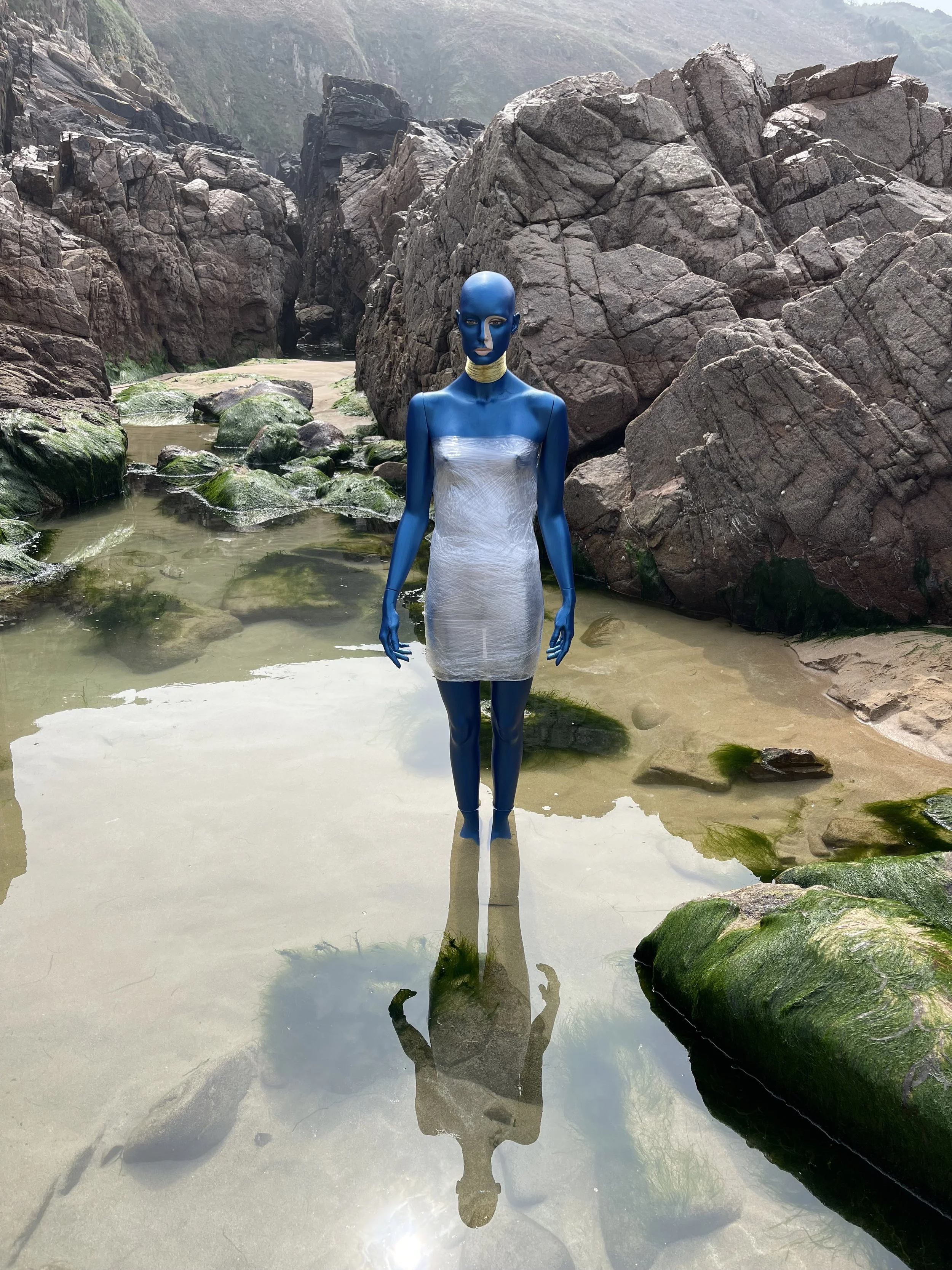 Elegance in Plastic Skin - Plastic and Acrylic 