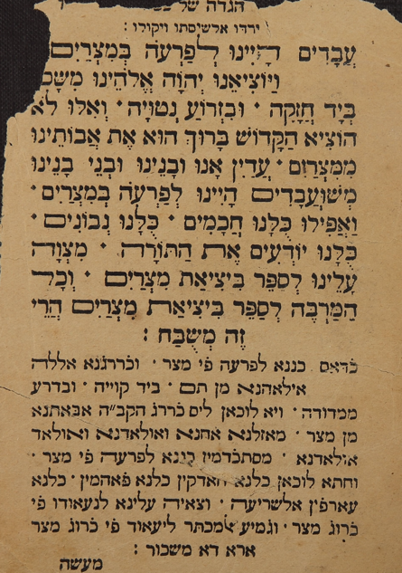 unnamed (5).png