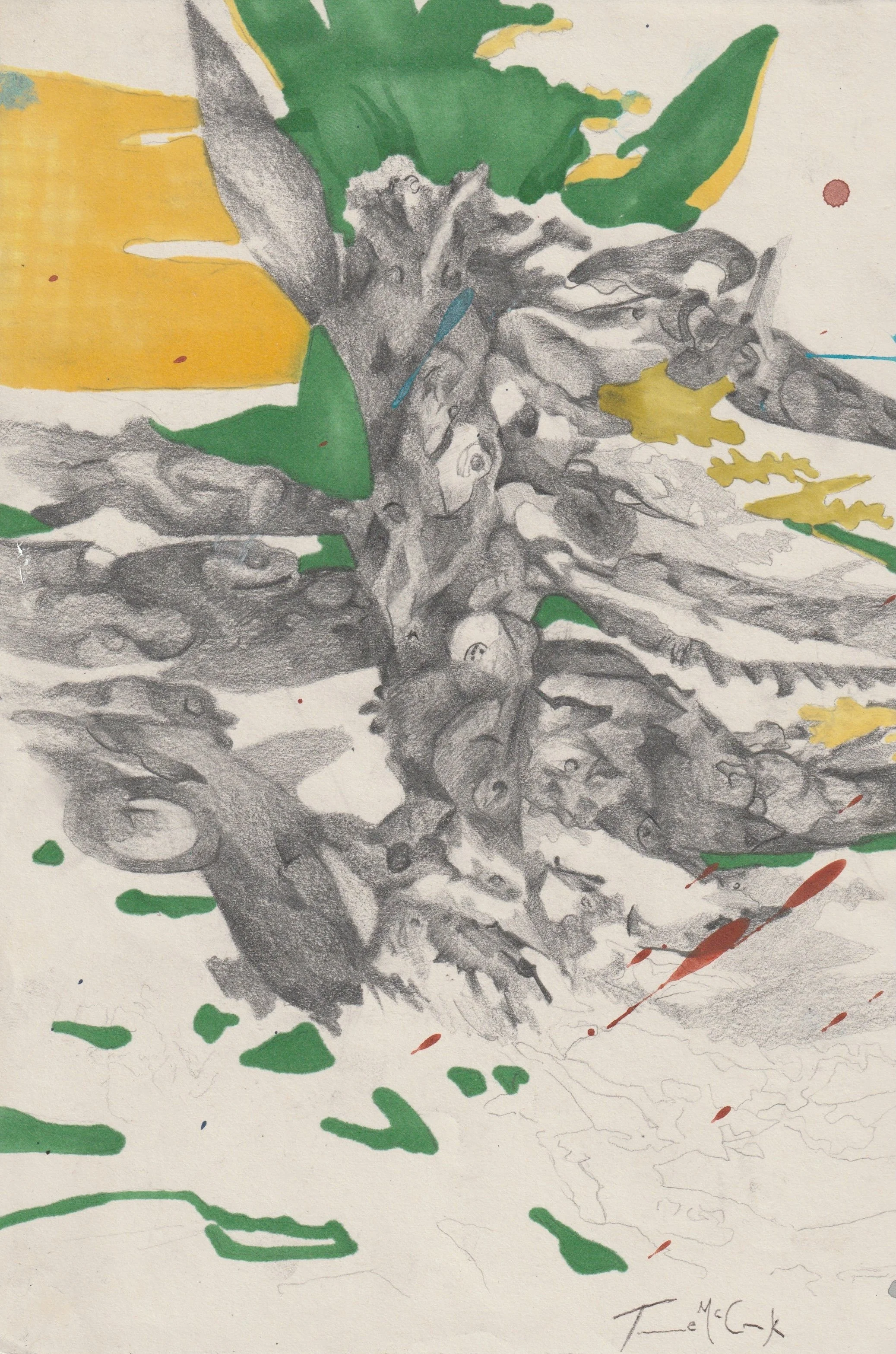 A Plant, A Shadow, A Night Alone.jpeg