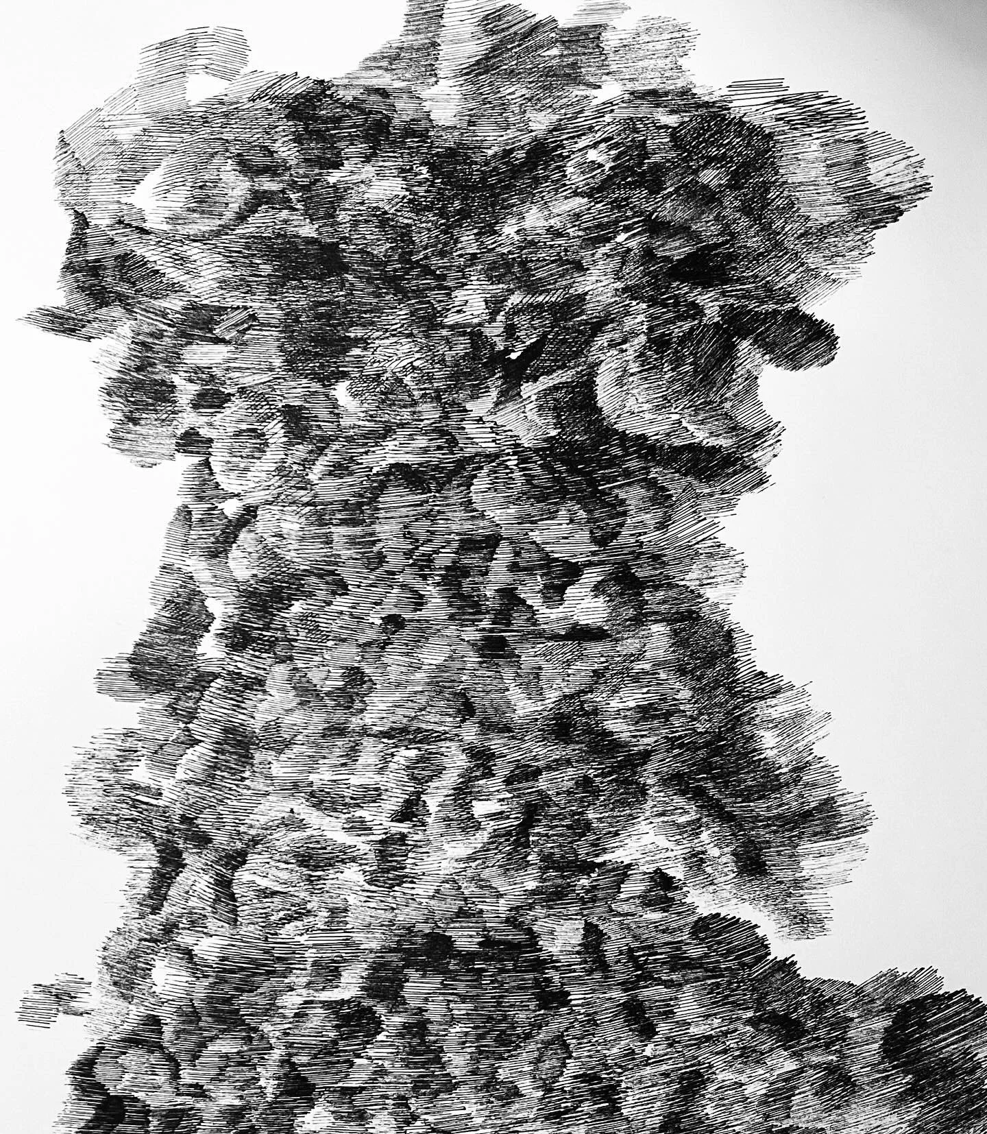 70D62CF9-C0CE-4B46-8310-0705459F3CE2.jpg