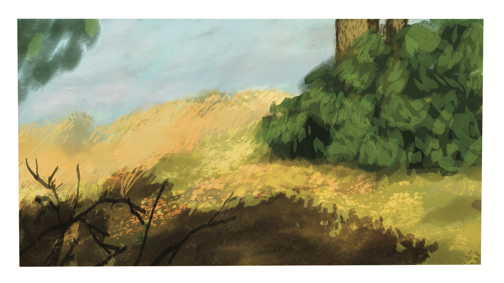 IMG_0874.PNG