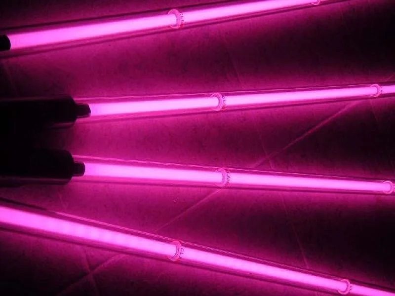 "Parallel pink neon lights against a dark background