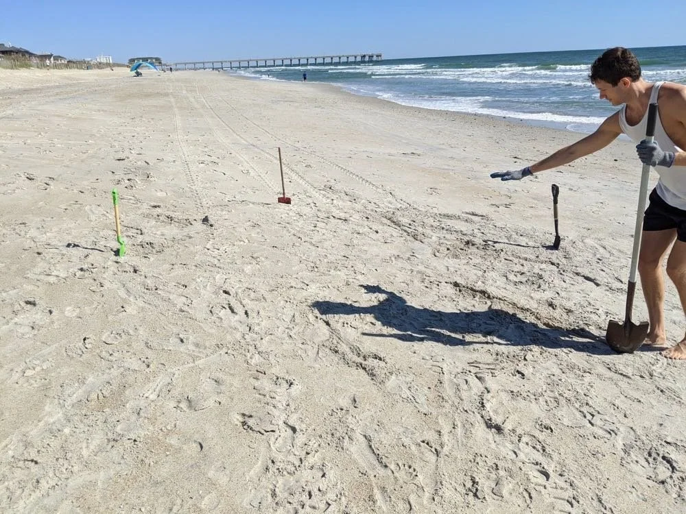 Man measuring distance on sandy beach.