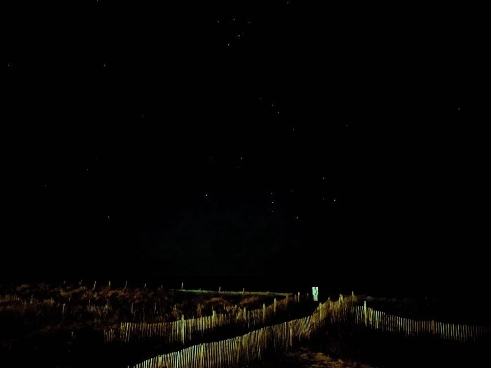 Night beach with starry sky and wooden fence.