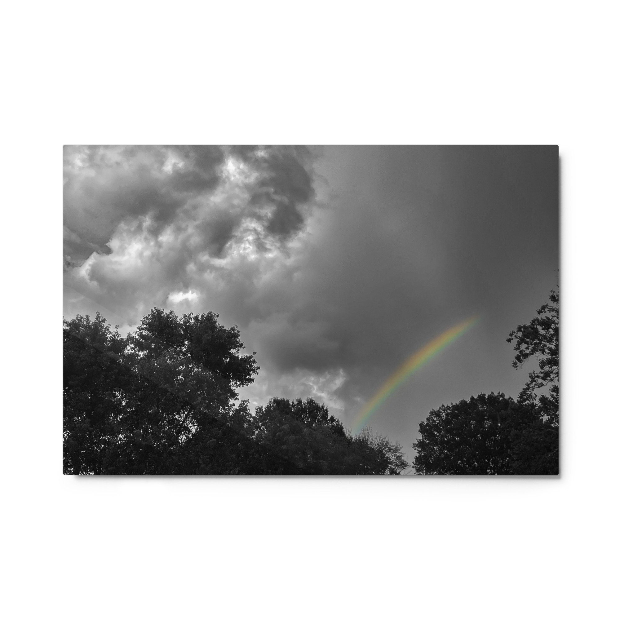 glossy-metal-print-(in)-white-24x36-front-67d6d111d0b19.jpg