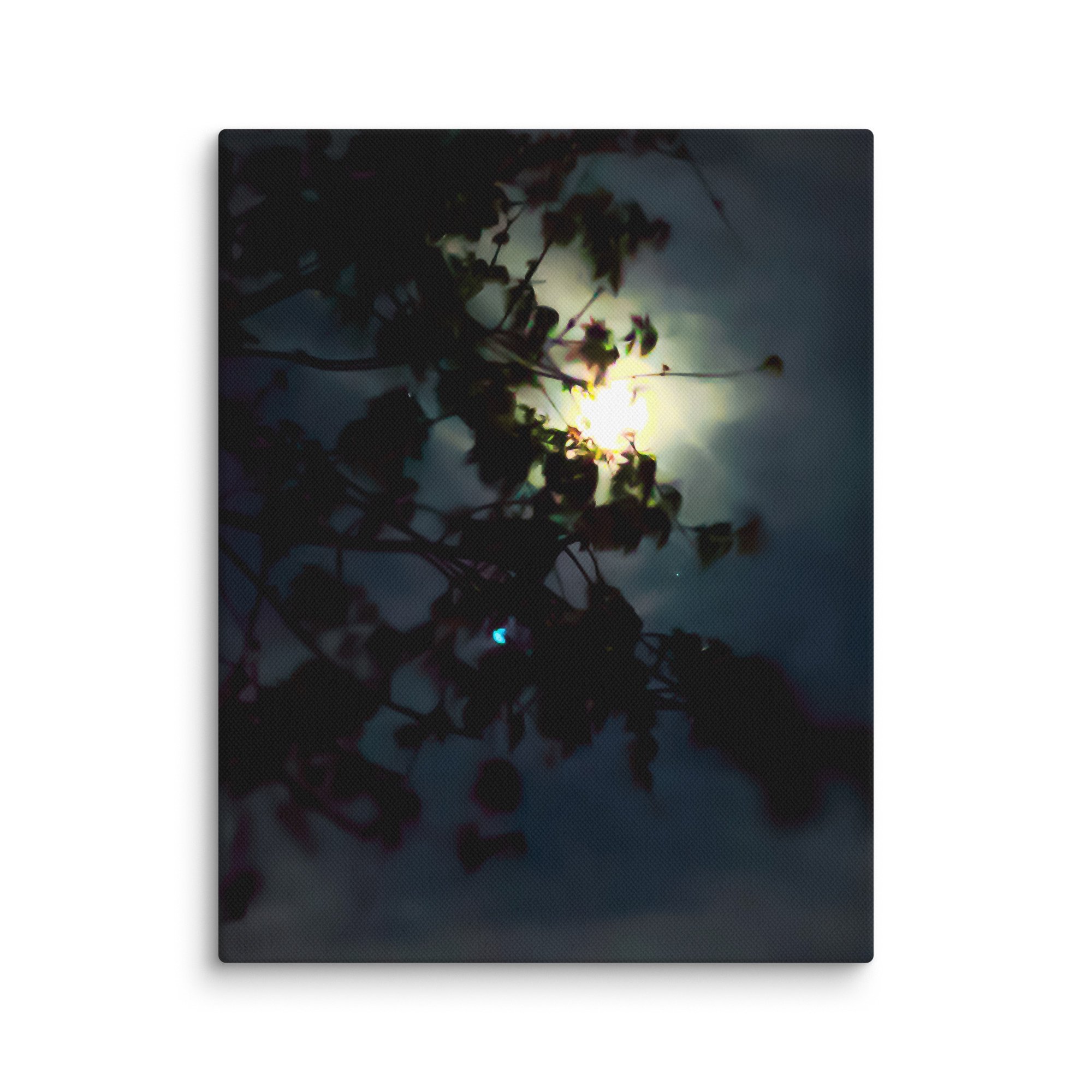 canvas-(in)-11x14-wall-67ec801b762dc.jpg