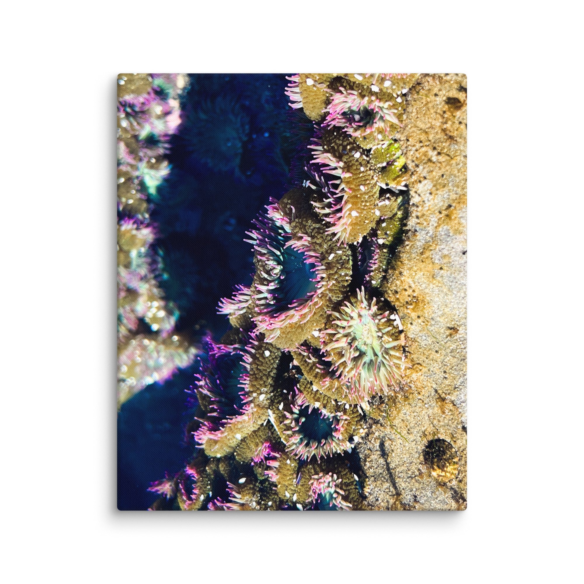 canvas-(in)-16x20-wall-67f86f434d7eb.jpg