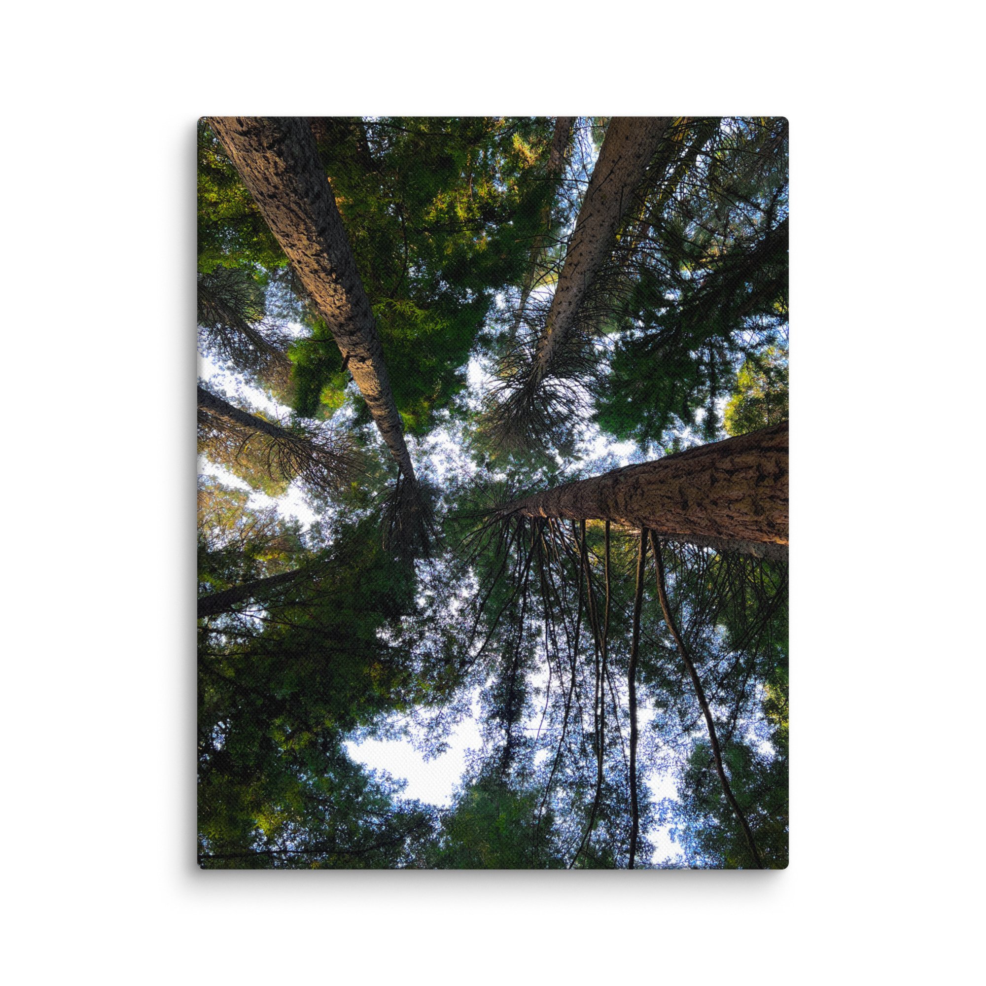 canvas-(in)-11x14-wall-67f8756dba629.jpg