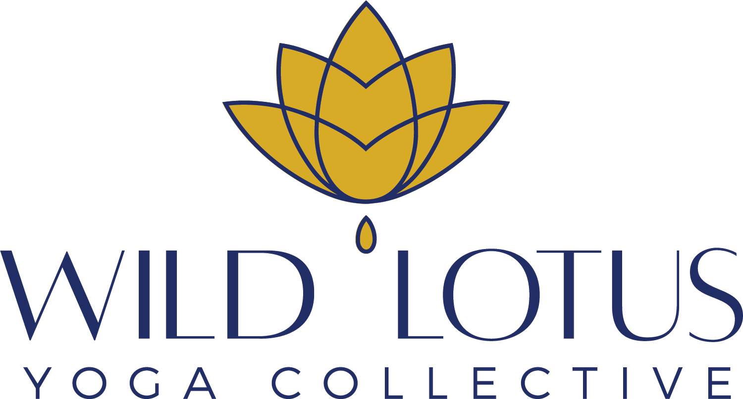 sauna-cold-plunge-experience-wild-lotus-collective