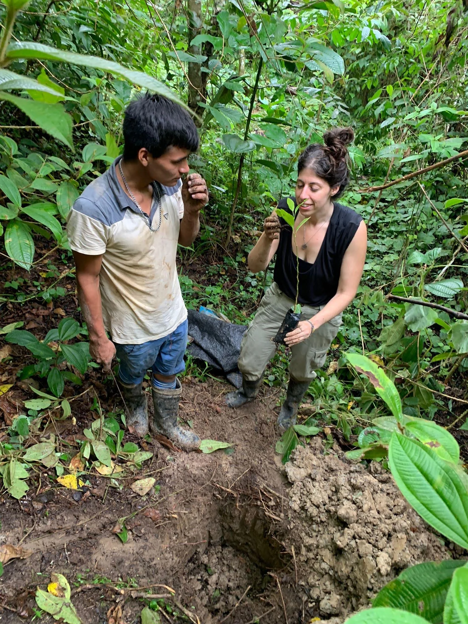 Tree Planting Tamar.jpg