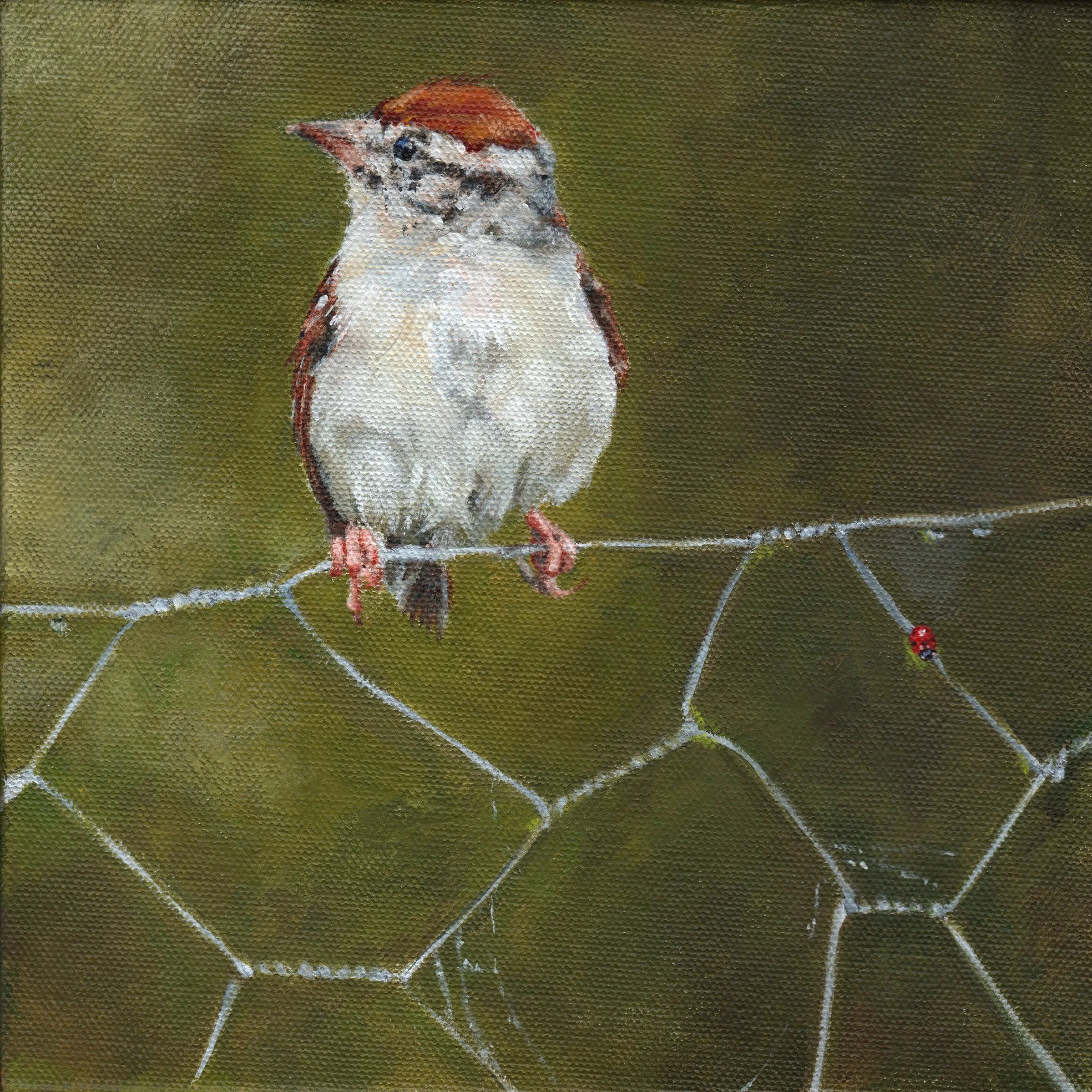 Sparrow Nouveau #3 (Print)