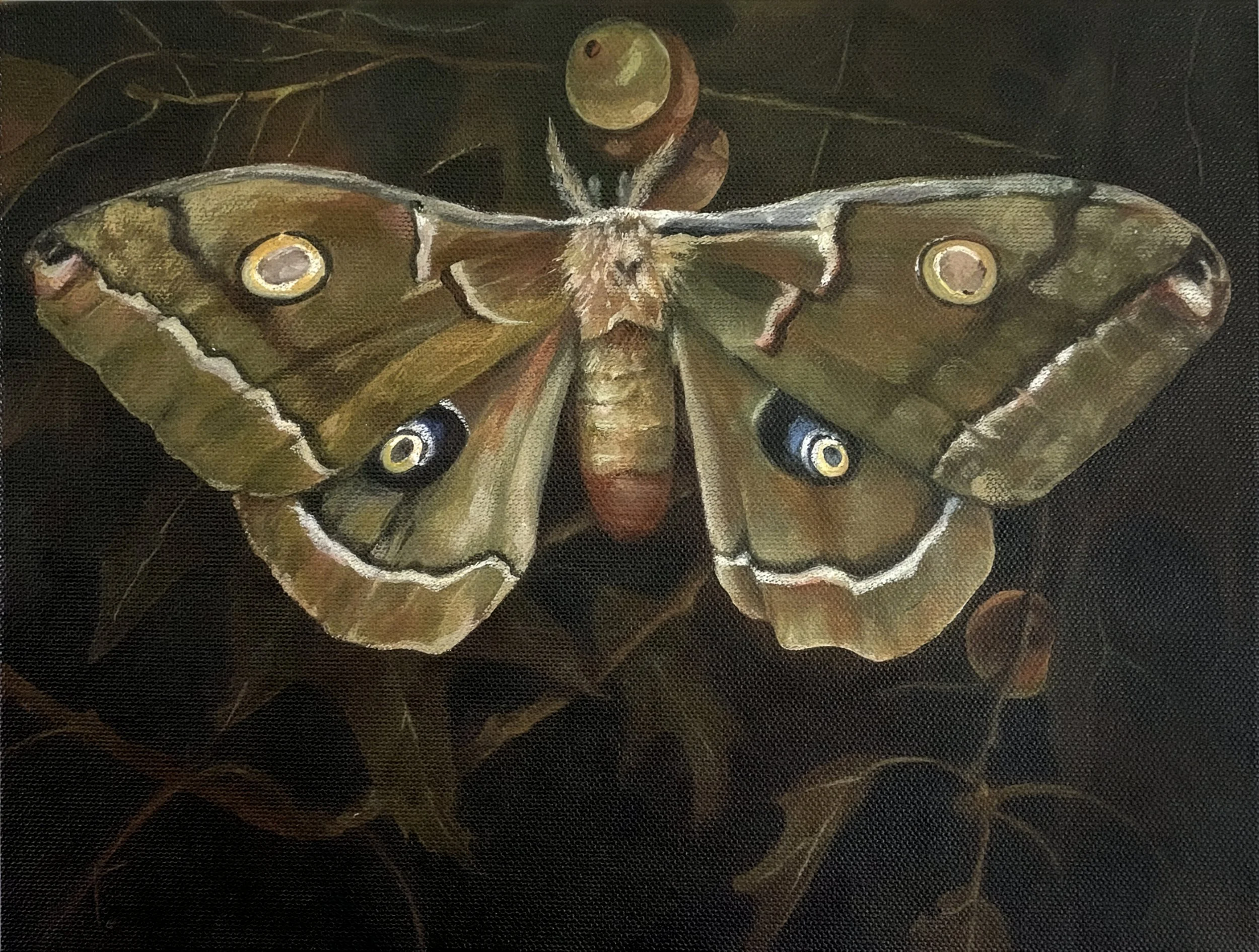 Poly Moth