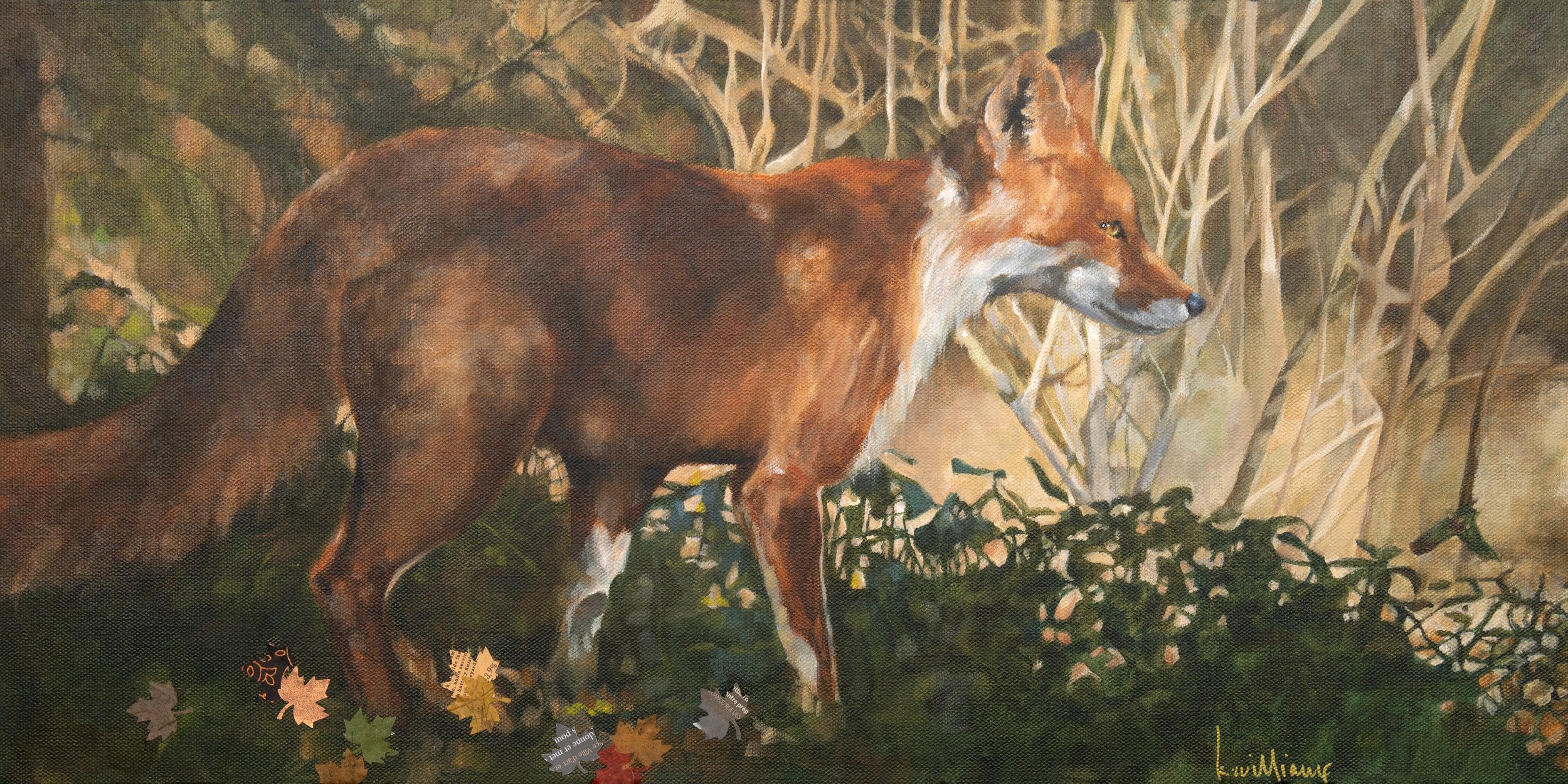 Fox in the Woods - Fine Art Giclée Print