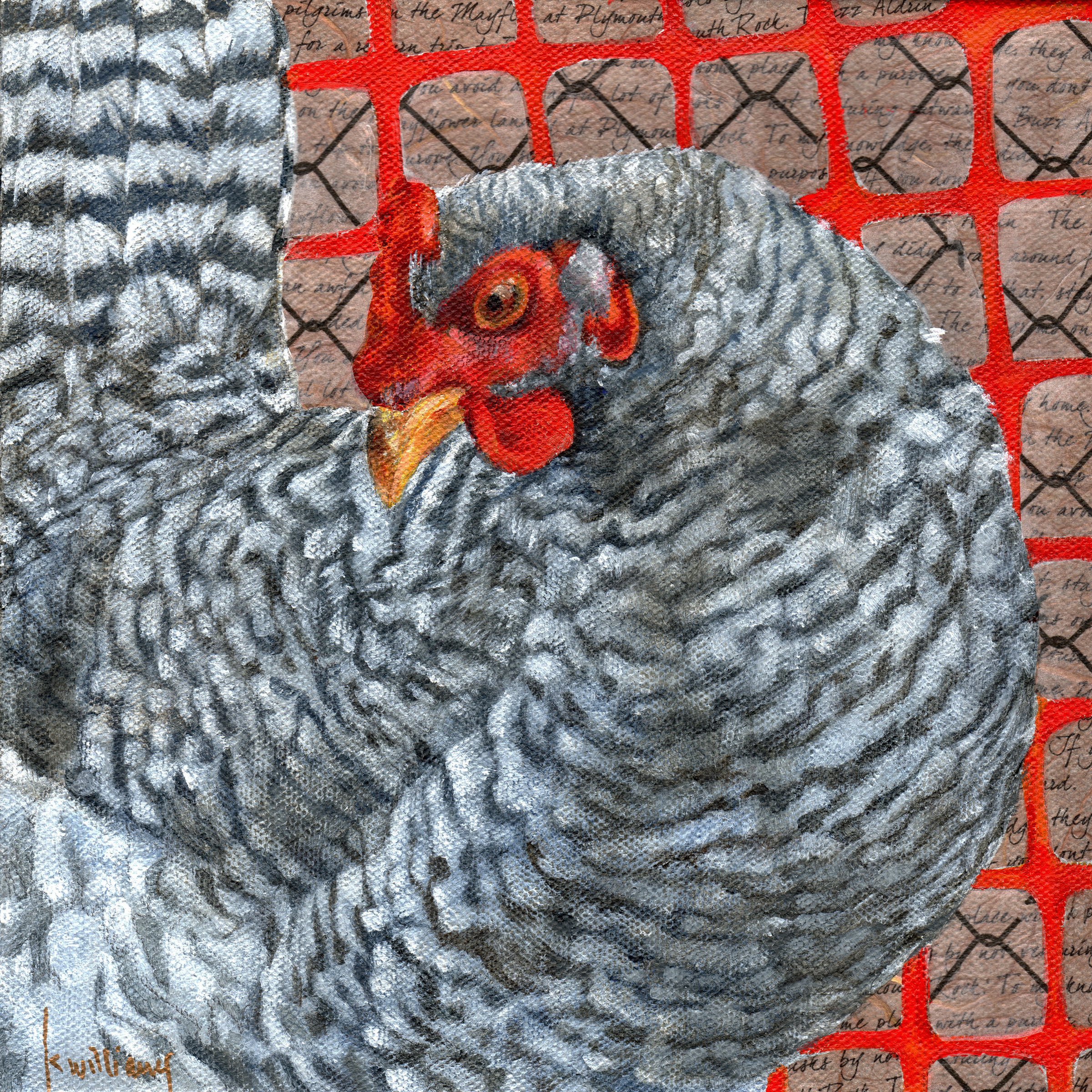 Plymouth Rock (Print)