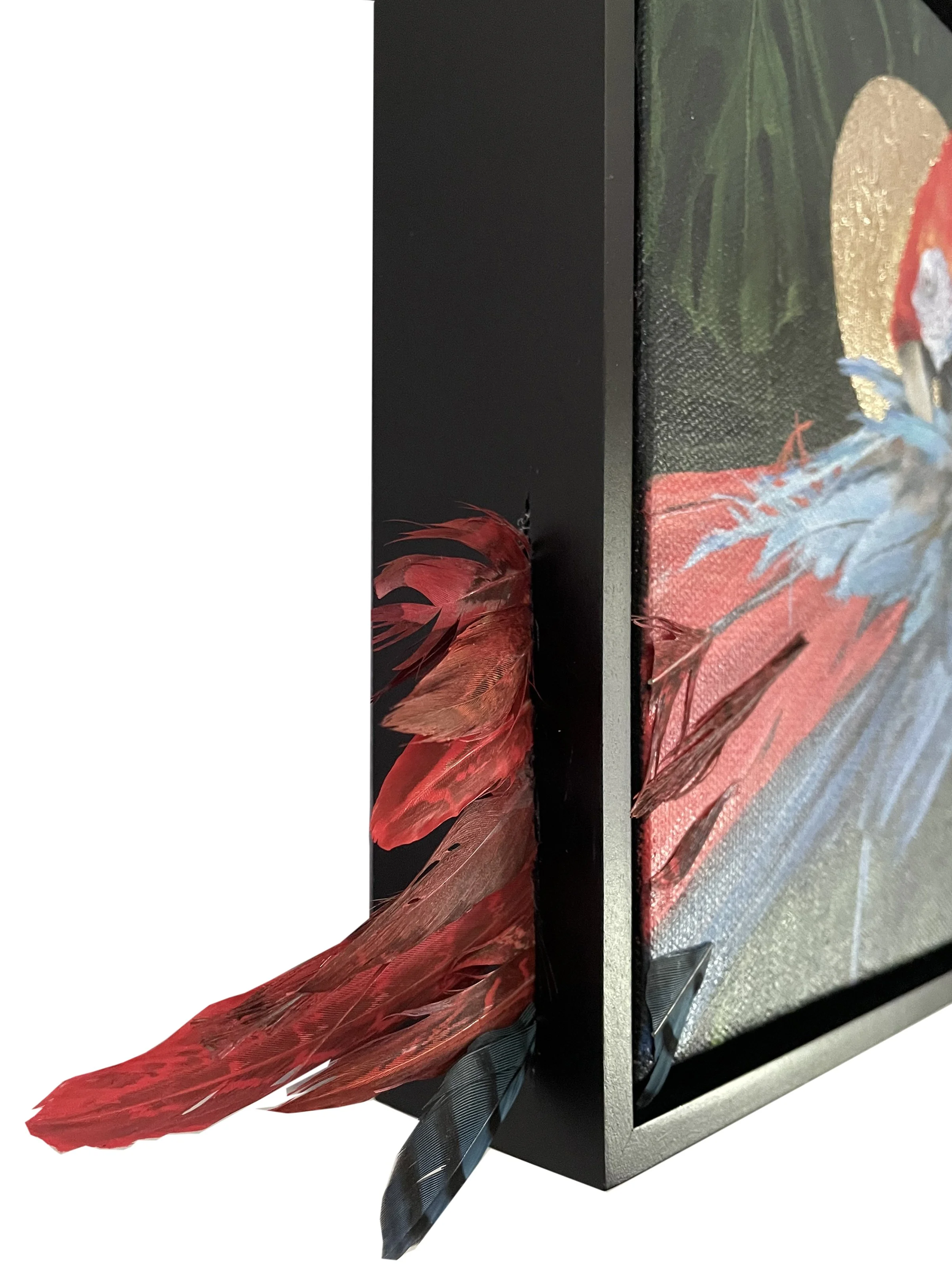 Primarily_sideview.jpg (Copy)