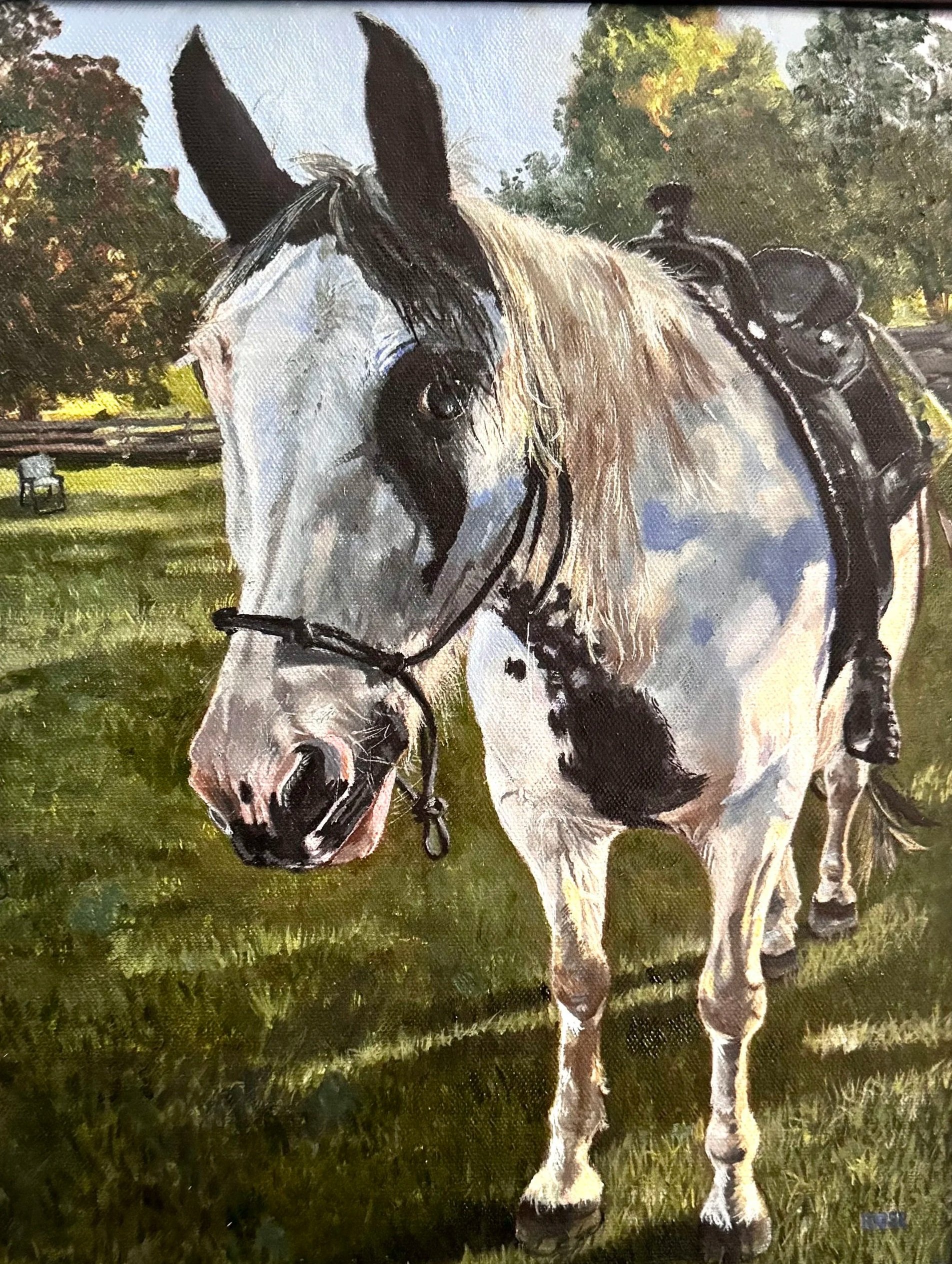 “Flash” 11 x 14 oil on canvas 

Private Collection, Rhode Island