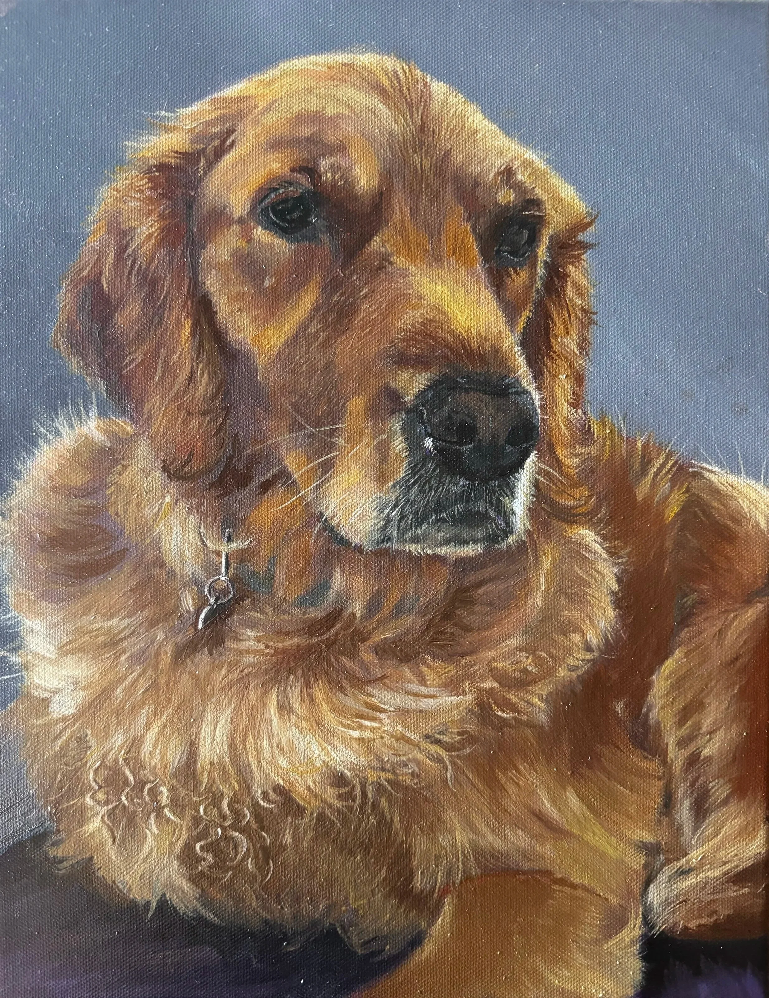 “Milo” 11 x 14 oil on canvas 

Private Collection, New Hampshire