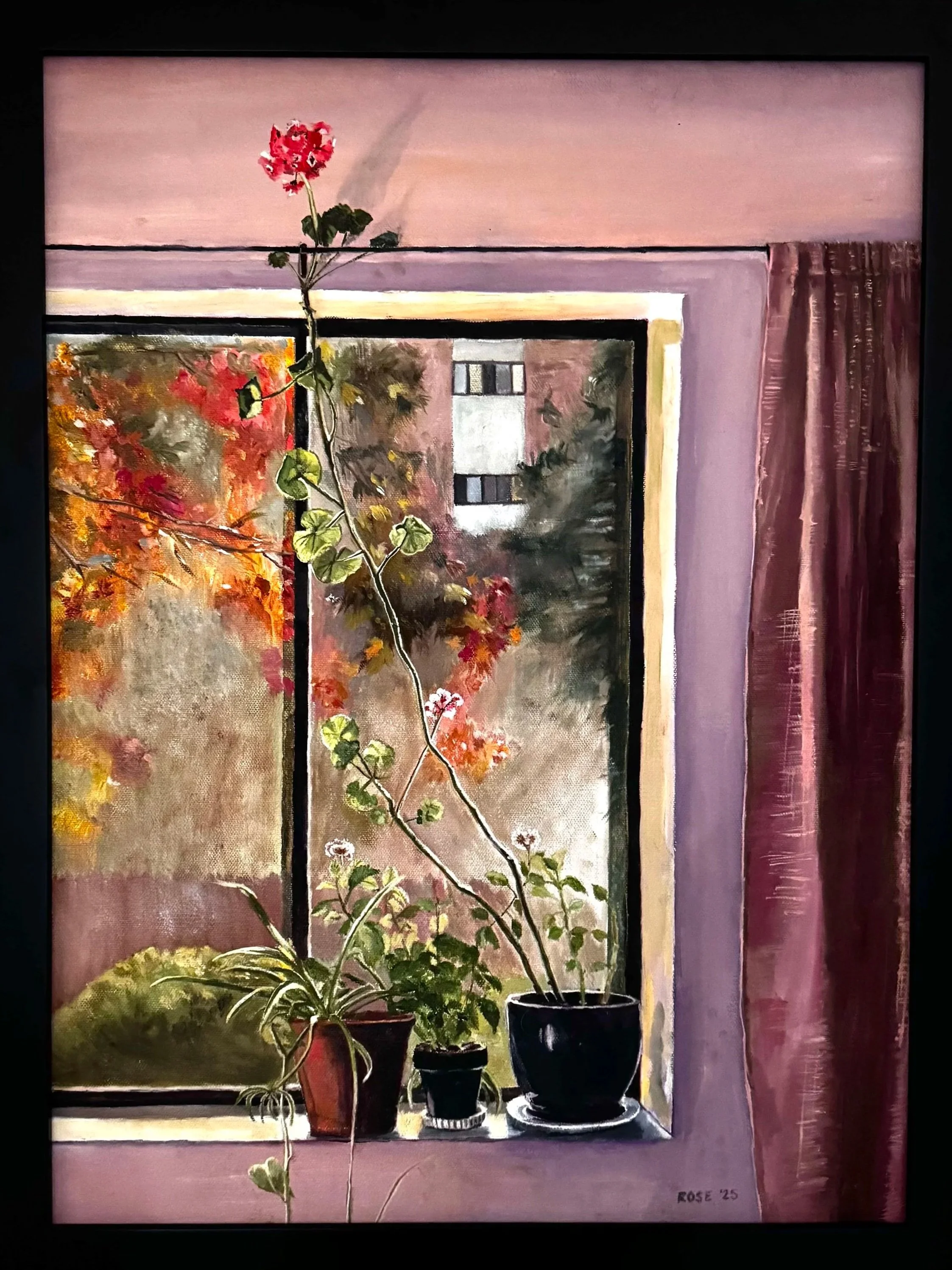 “My September Geranium” 24 x 18 oil on canvas 

Available
