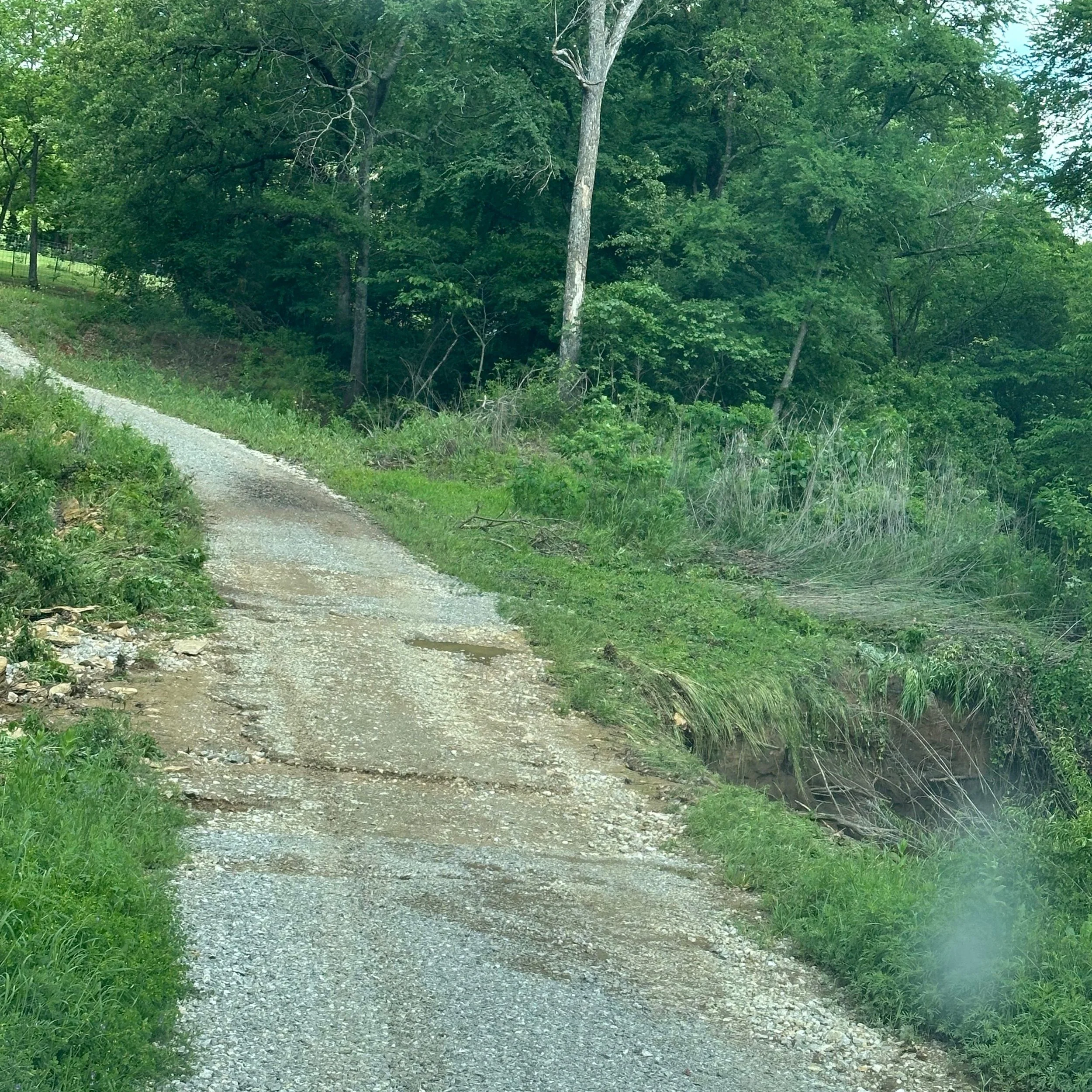 Bonnie Bell Washout Before2.jpg