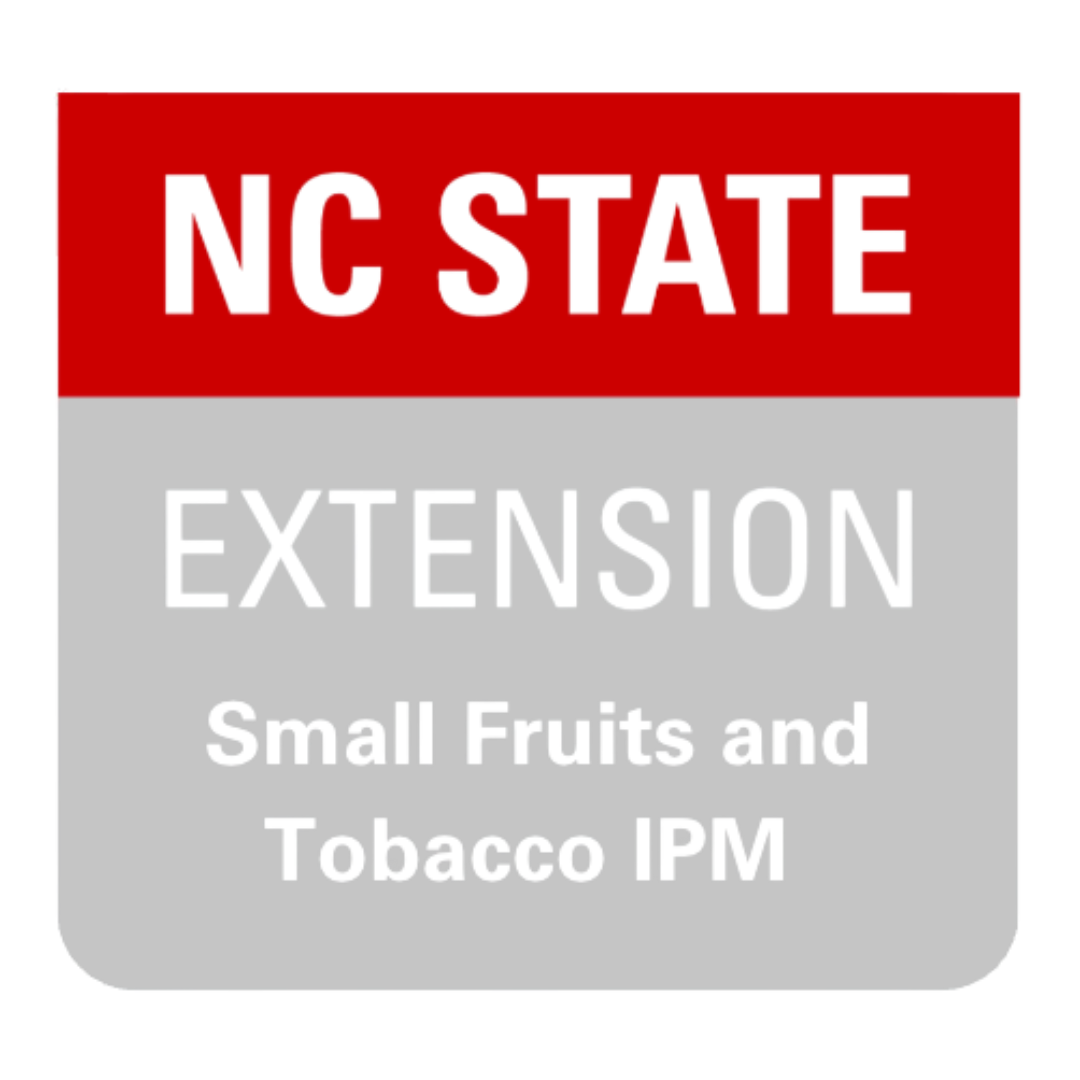 NCSU logo.png