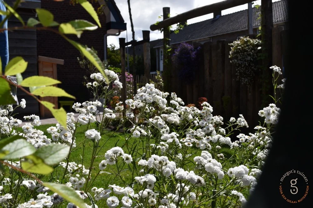 Romantische tuin 