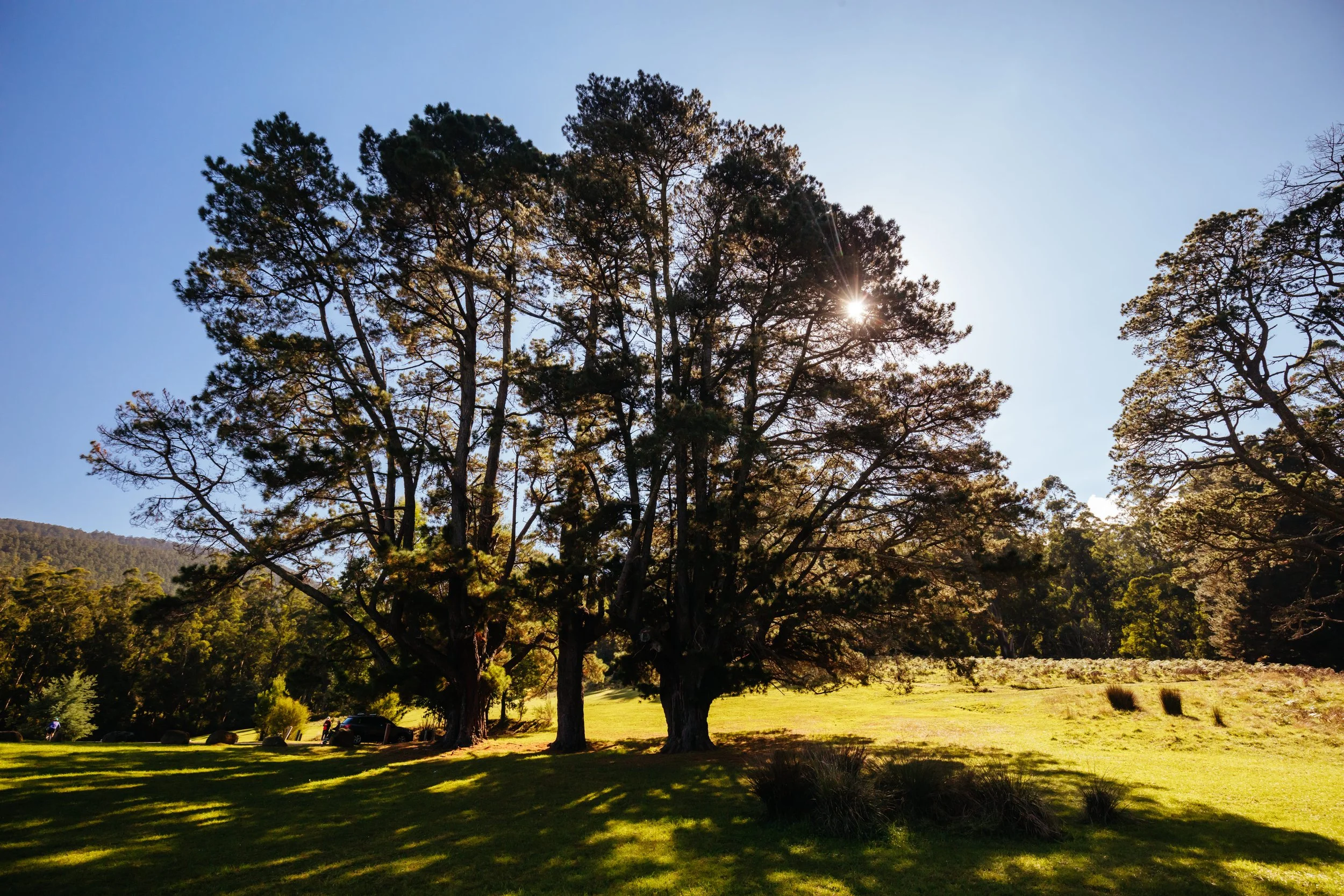 Natuurrijke eenvoud