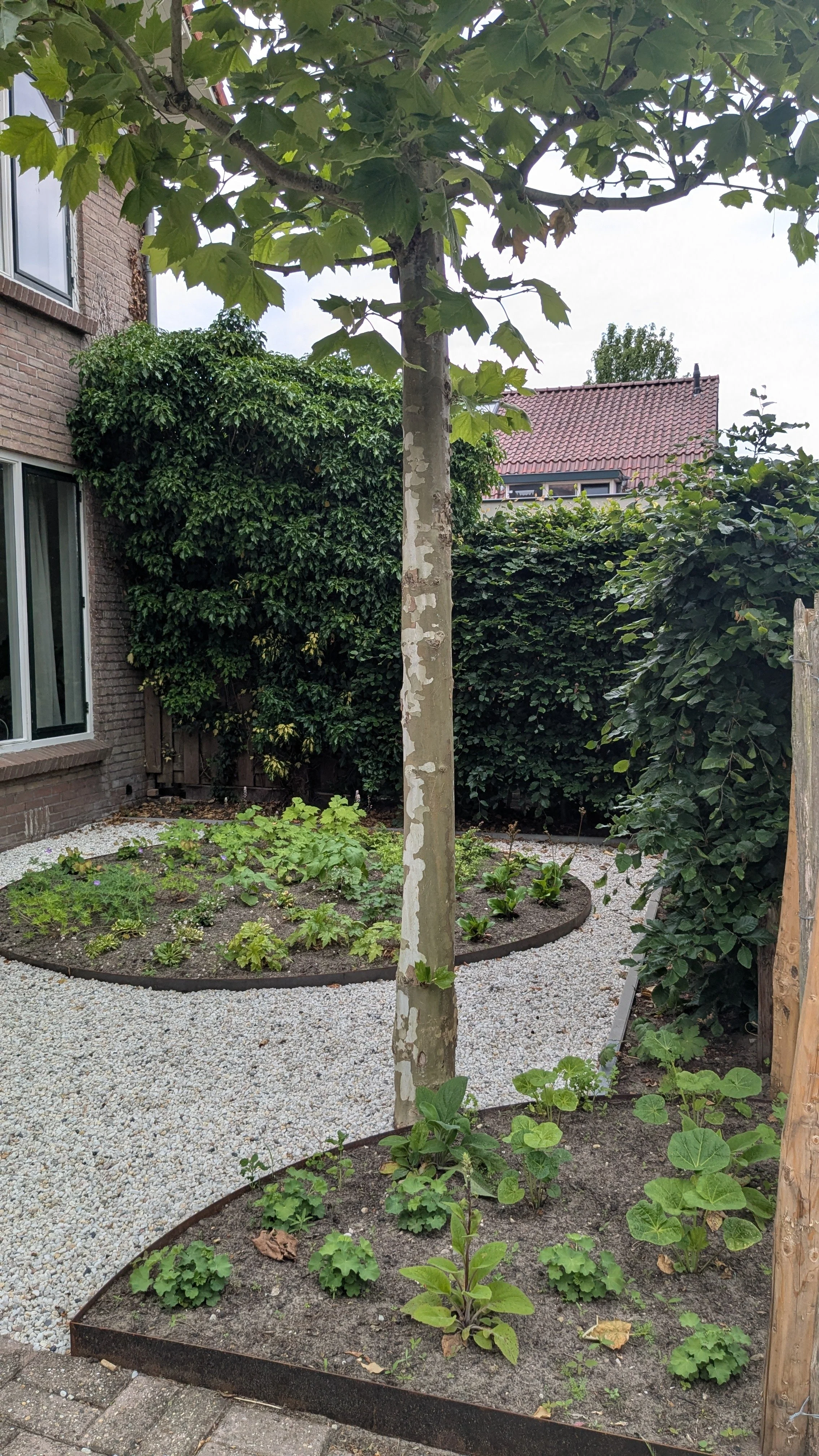 Van trampoline naar bloeiende borders