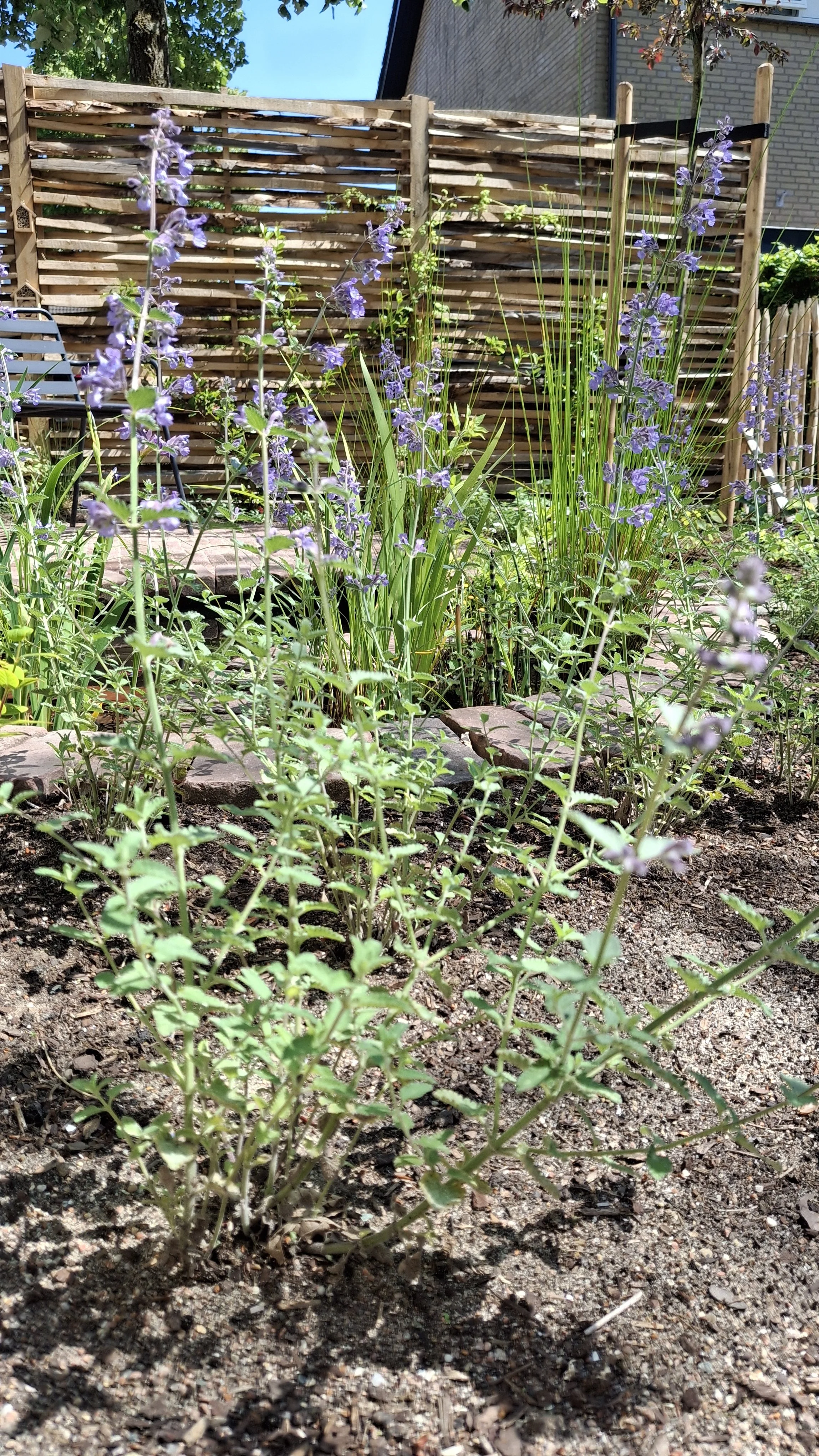 Leven in de tuin