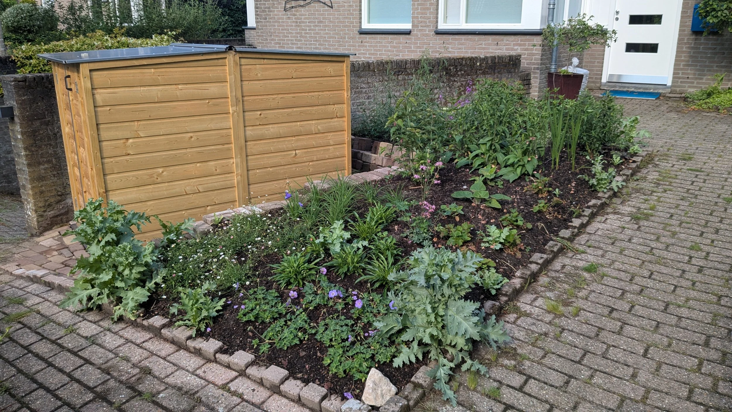 voortuin (2).jpg