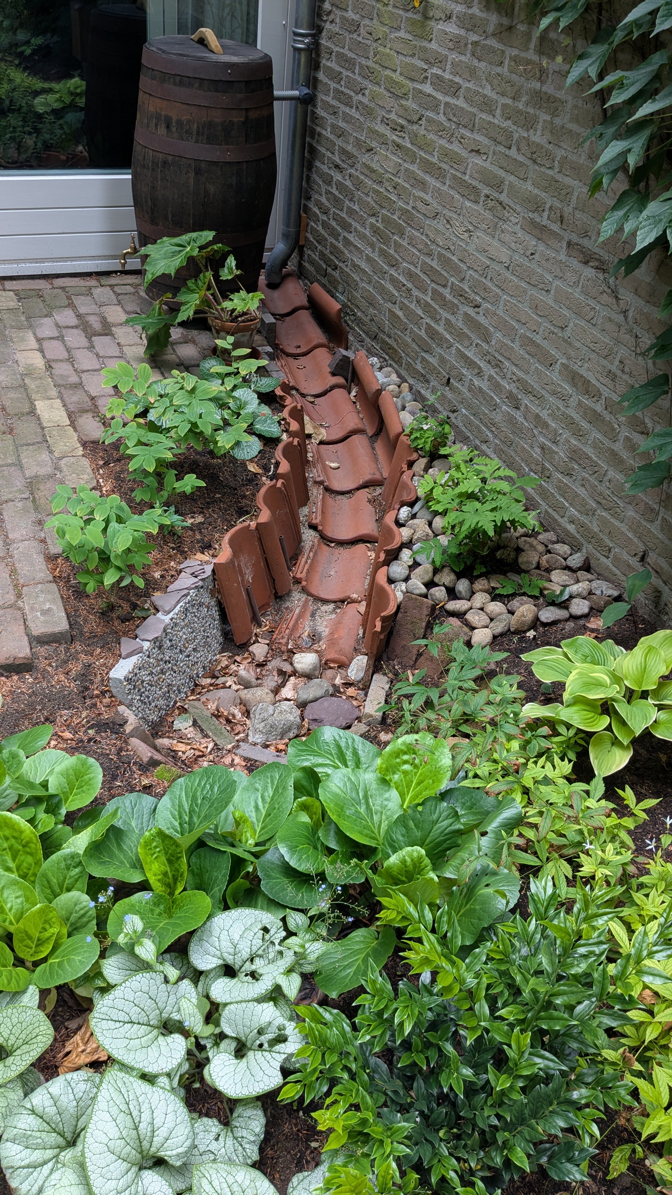 Achtertuin 2025_2026 (4).jpg