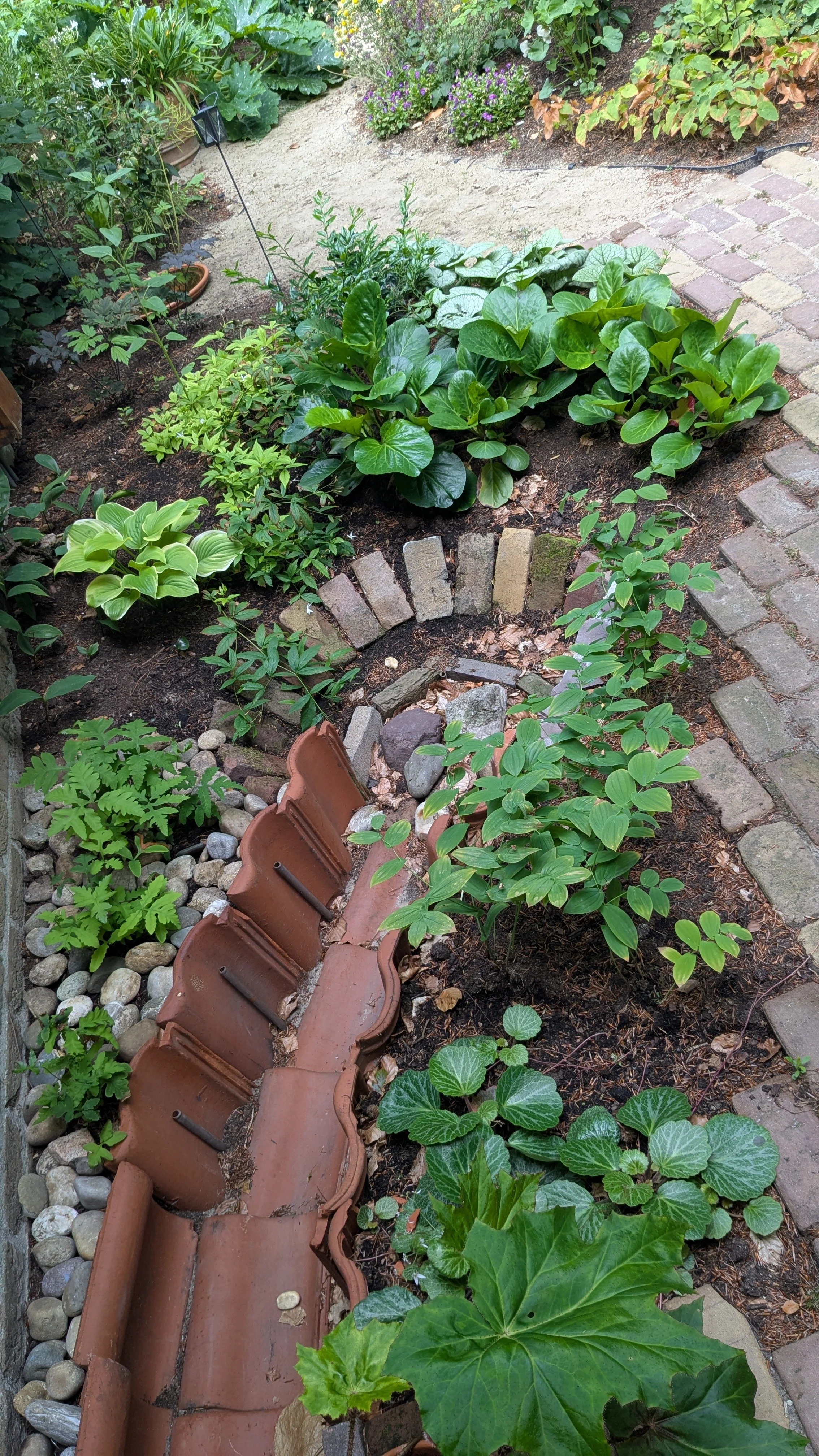 Achtertuin 2025_2026 (5).jpg