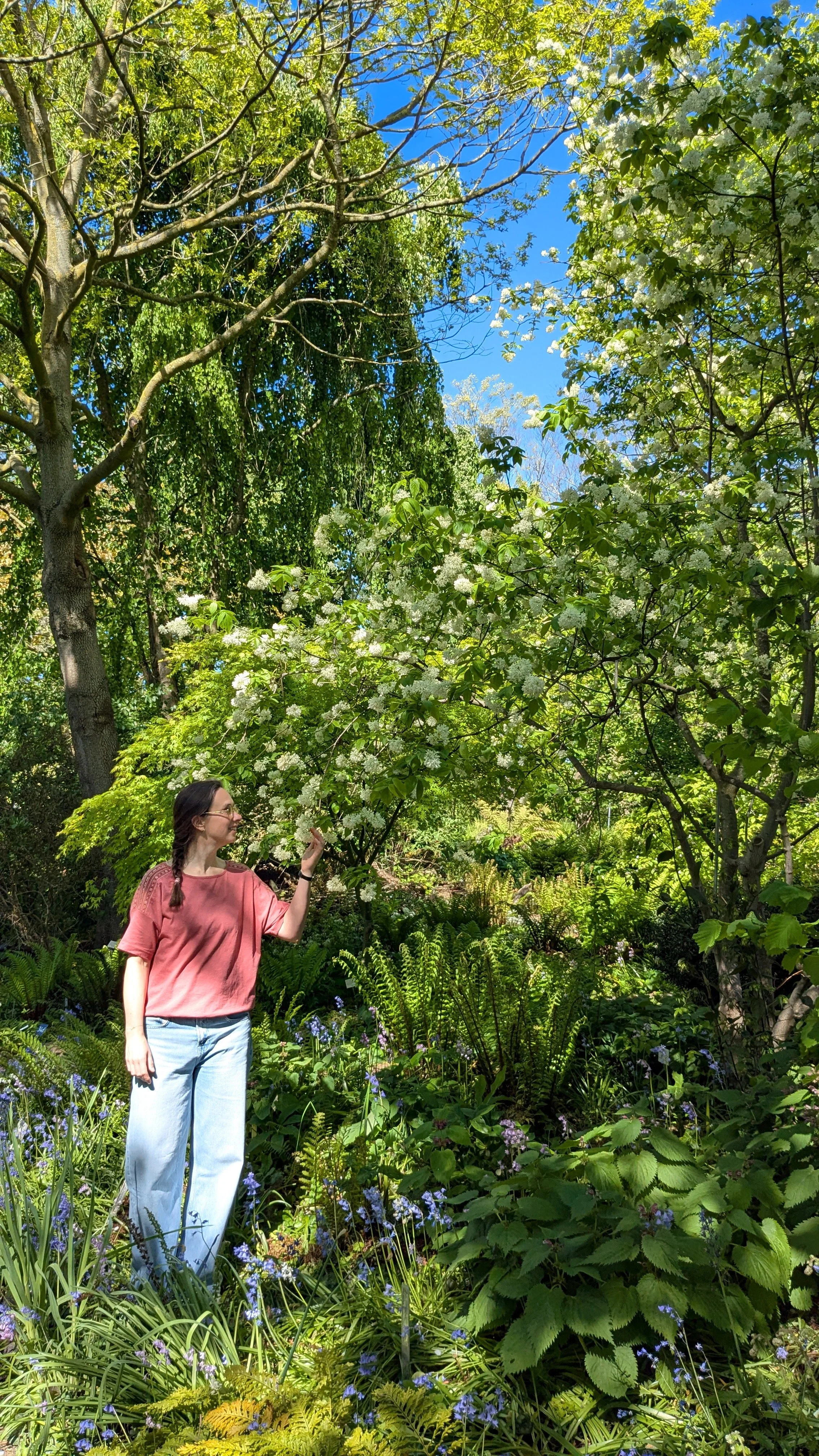 Groene tuin vol vaste planten voor een ideaal buitenleven