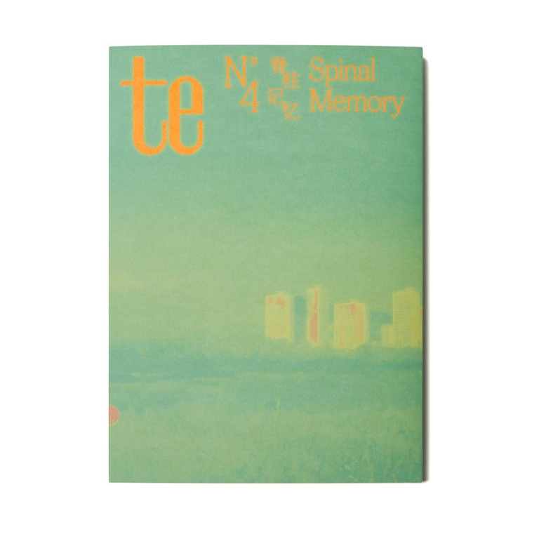 te issue 4: Spinal Memory