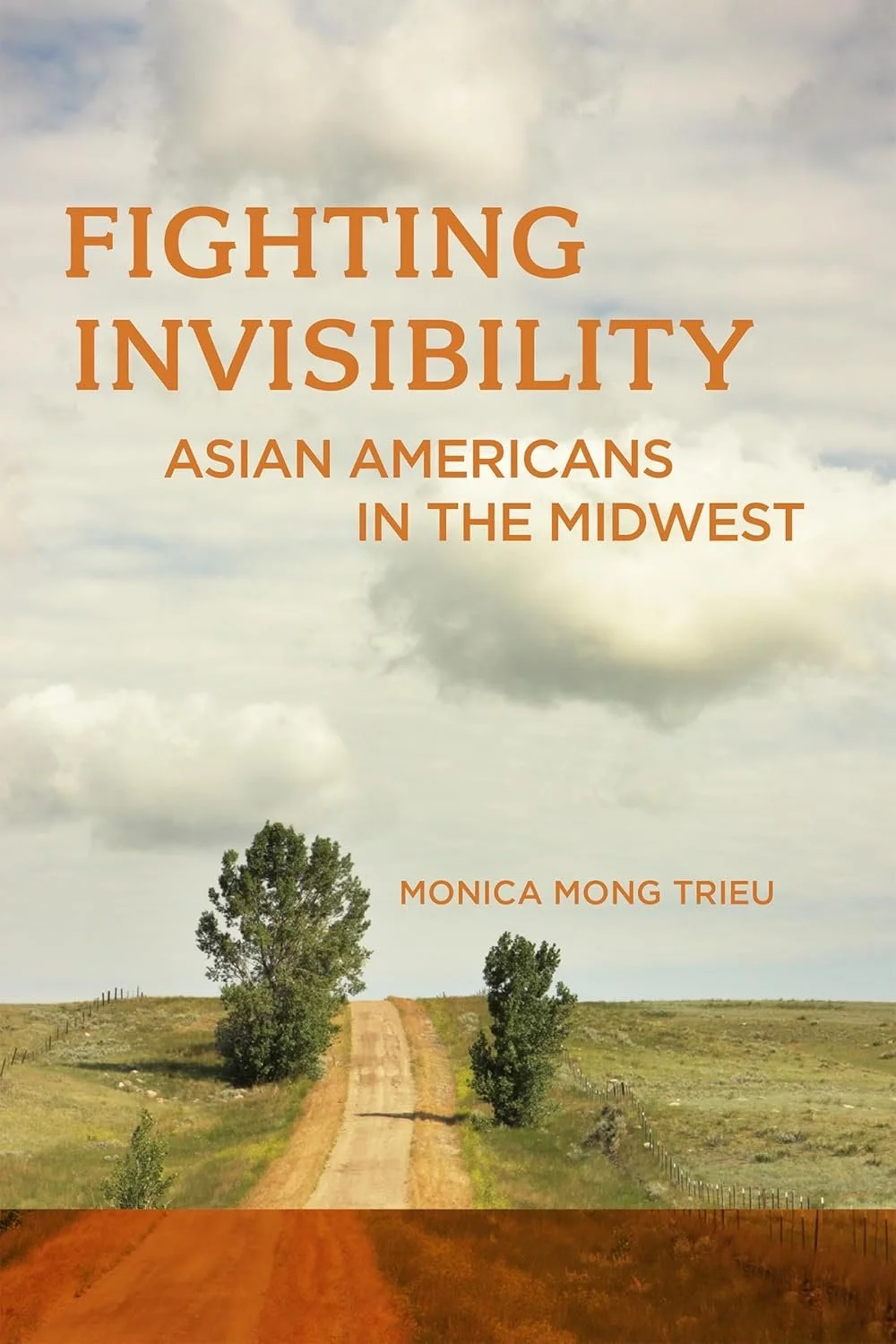 Fighting Invisibility Asian Americans in the Midwest