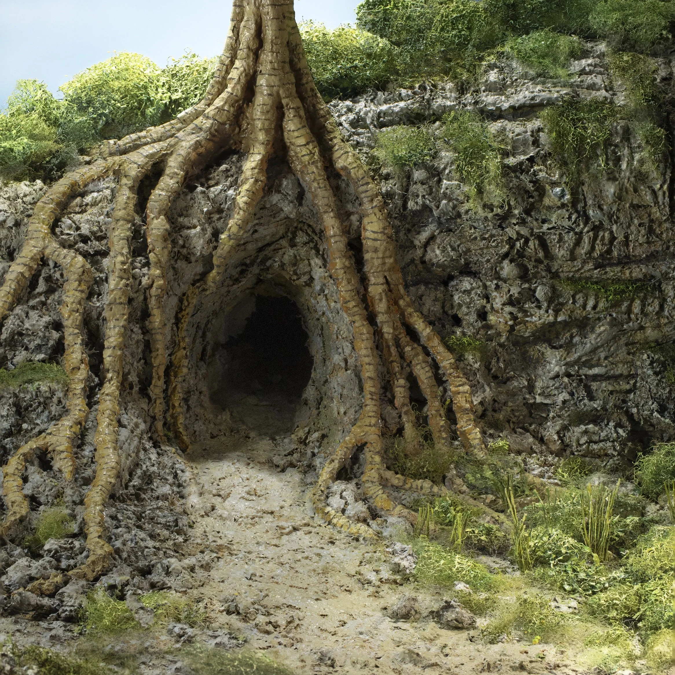 Strangler Fig Cave (small) by Stephen Dorsett
