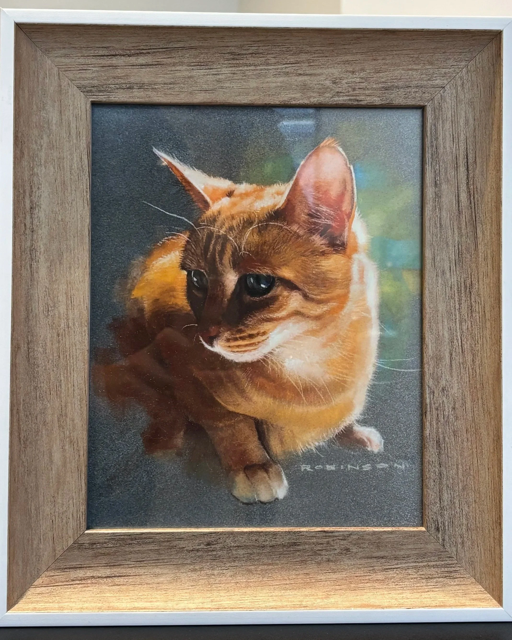 Here Kitty Kitty by Drew Robinson
Charcoal on Strathmore 300 3 Ply, limited edition print, 13 1/4 x 11 1/4
