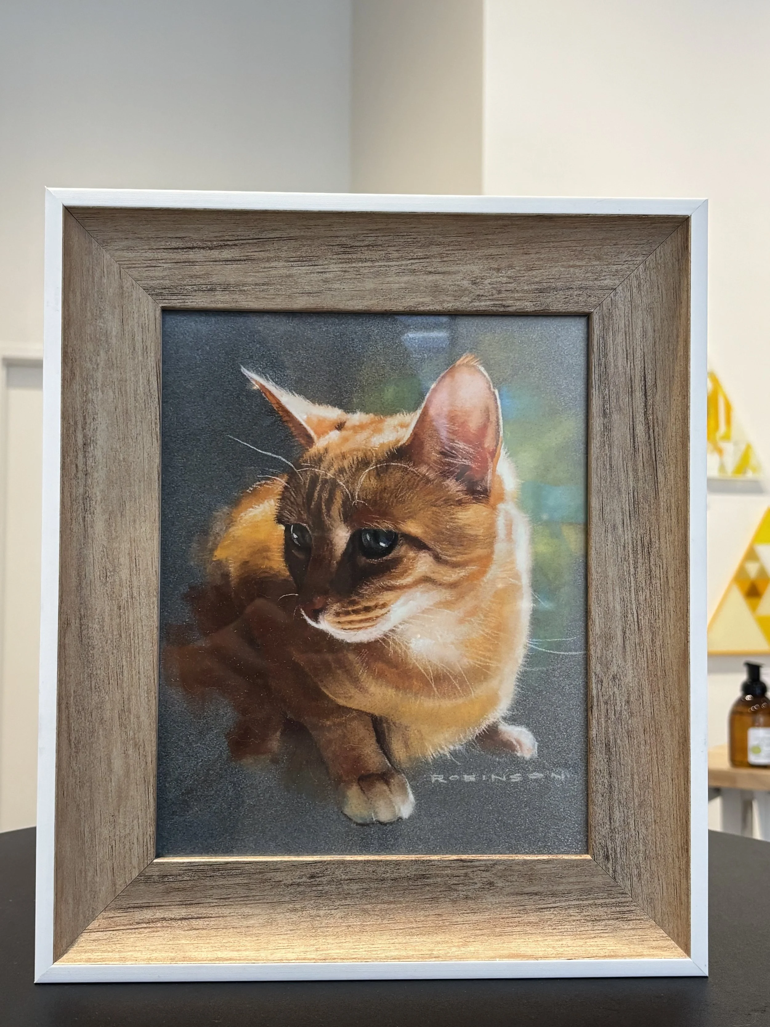 Here Kitty Kitty