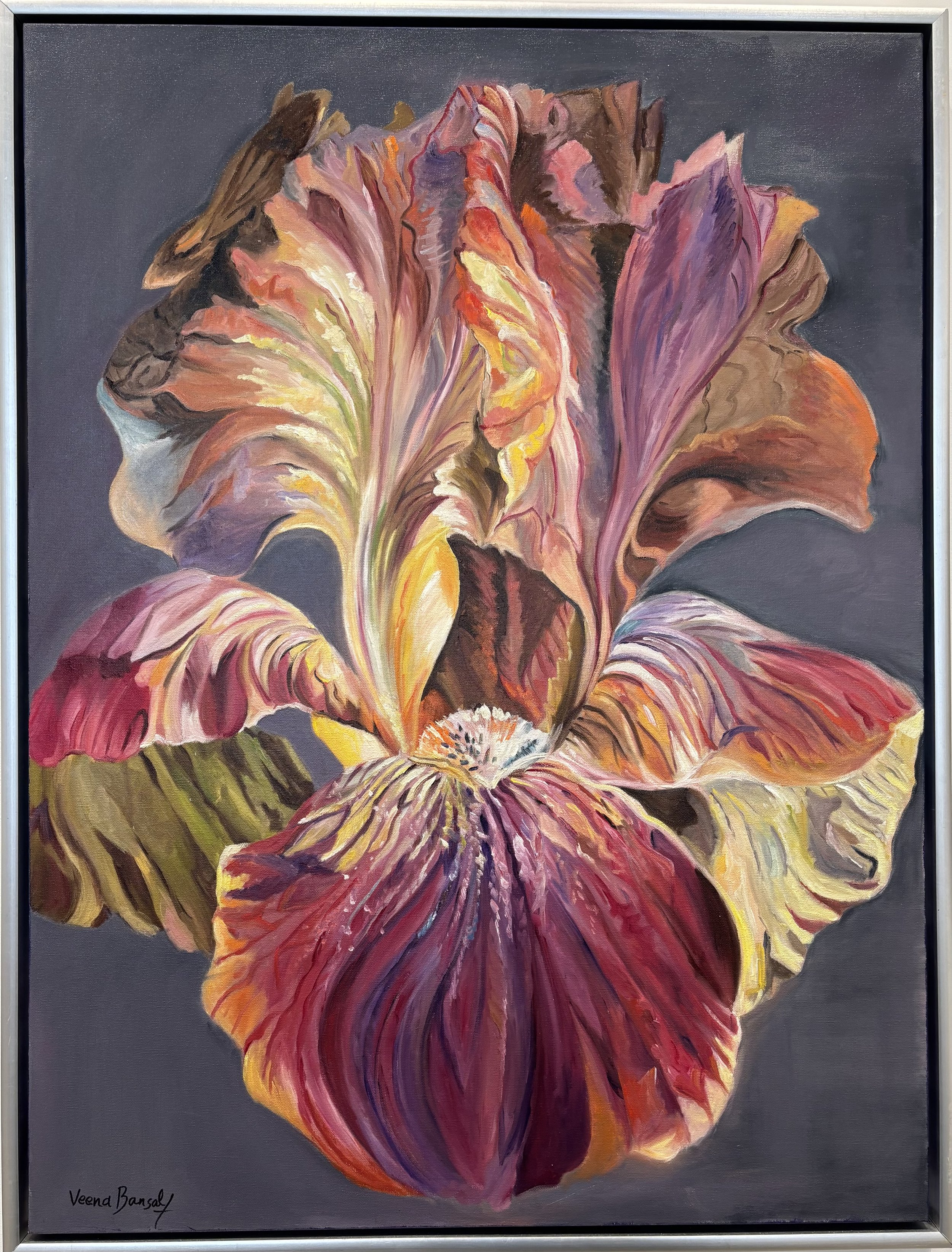 Iris Radiance by Veena Bansal