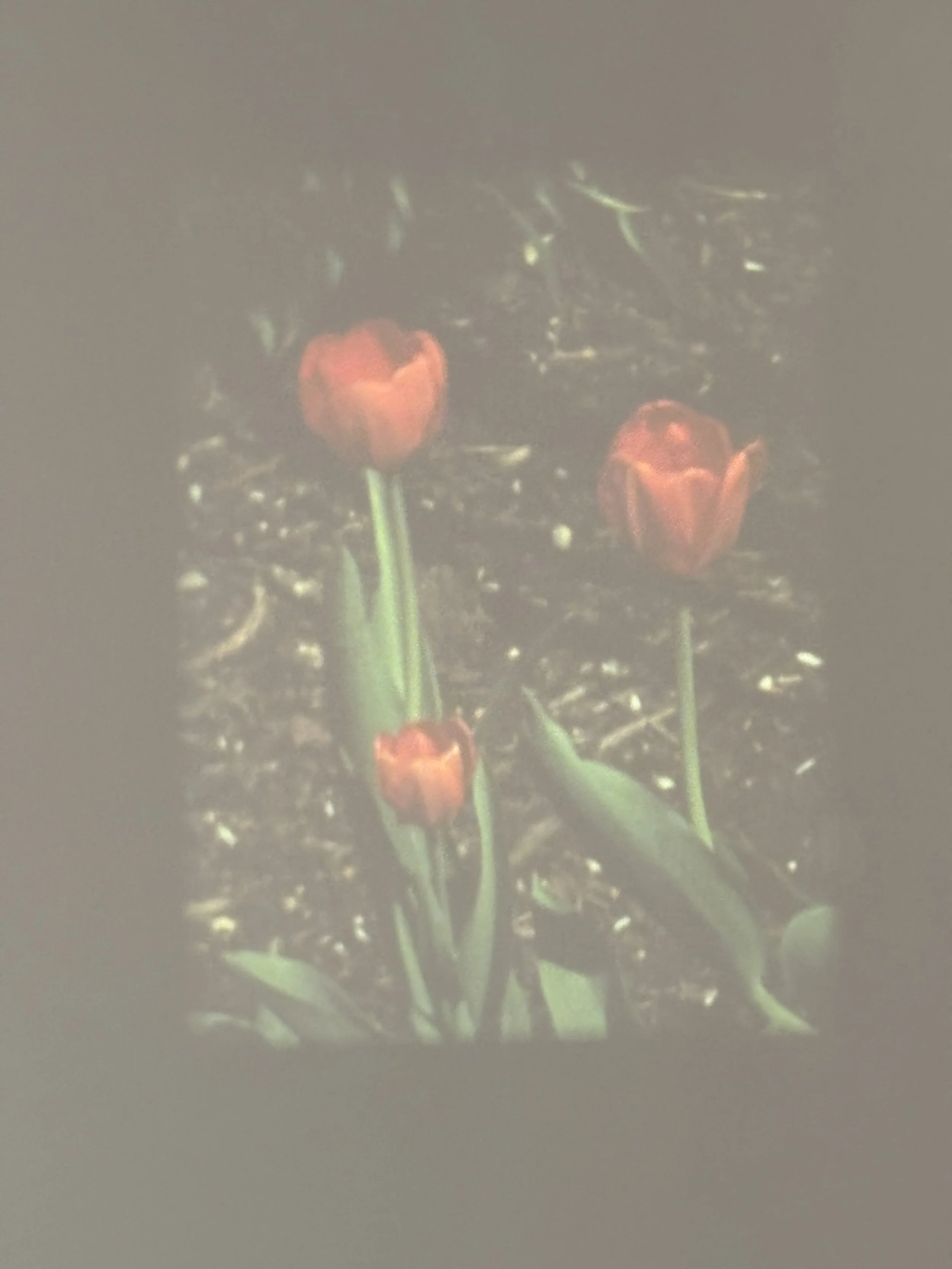 These are snapshots of Roger Beebe's film work which is best viewed in person at the gallery.