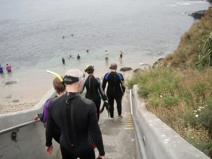 A group walking down the stairs at La Jolla cove Eco reserve during a snorkel tour in San Diego