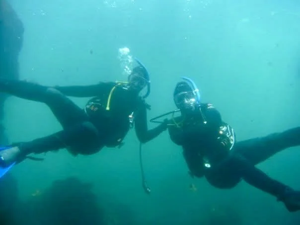Guided scuba tour in La Jolla exploring underwater kelp forest in San Diego