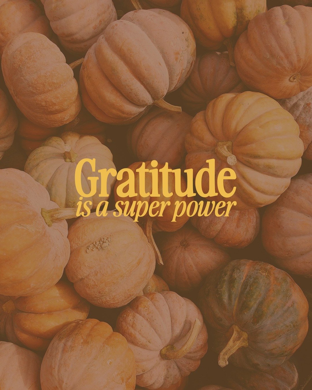 Happy Thanksgiving 🫶 🦃