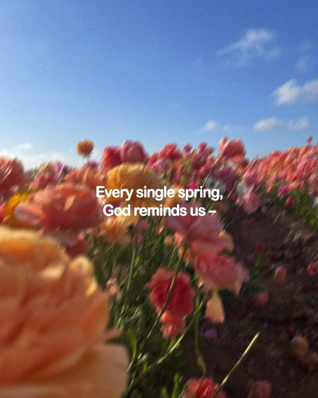 Spring is preaching a SERMON!!!! 🌱🌷