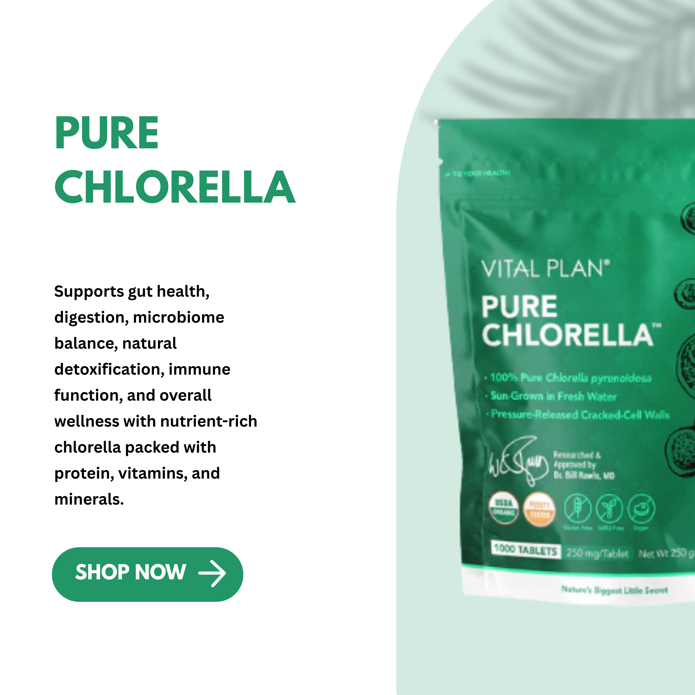 Pure Chlorella by Vital Plan