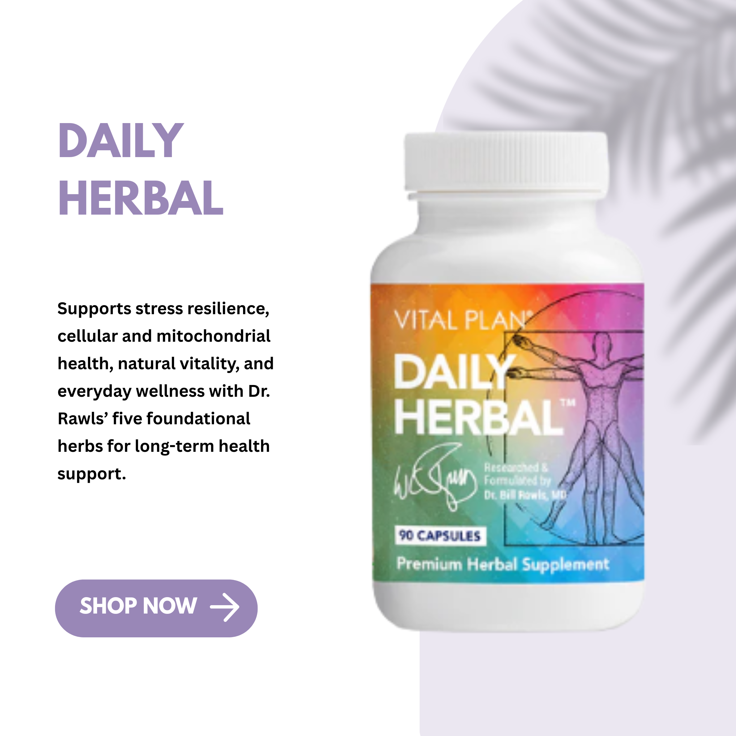 Daily Herbal by Vital Plan