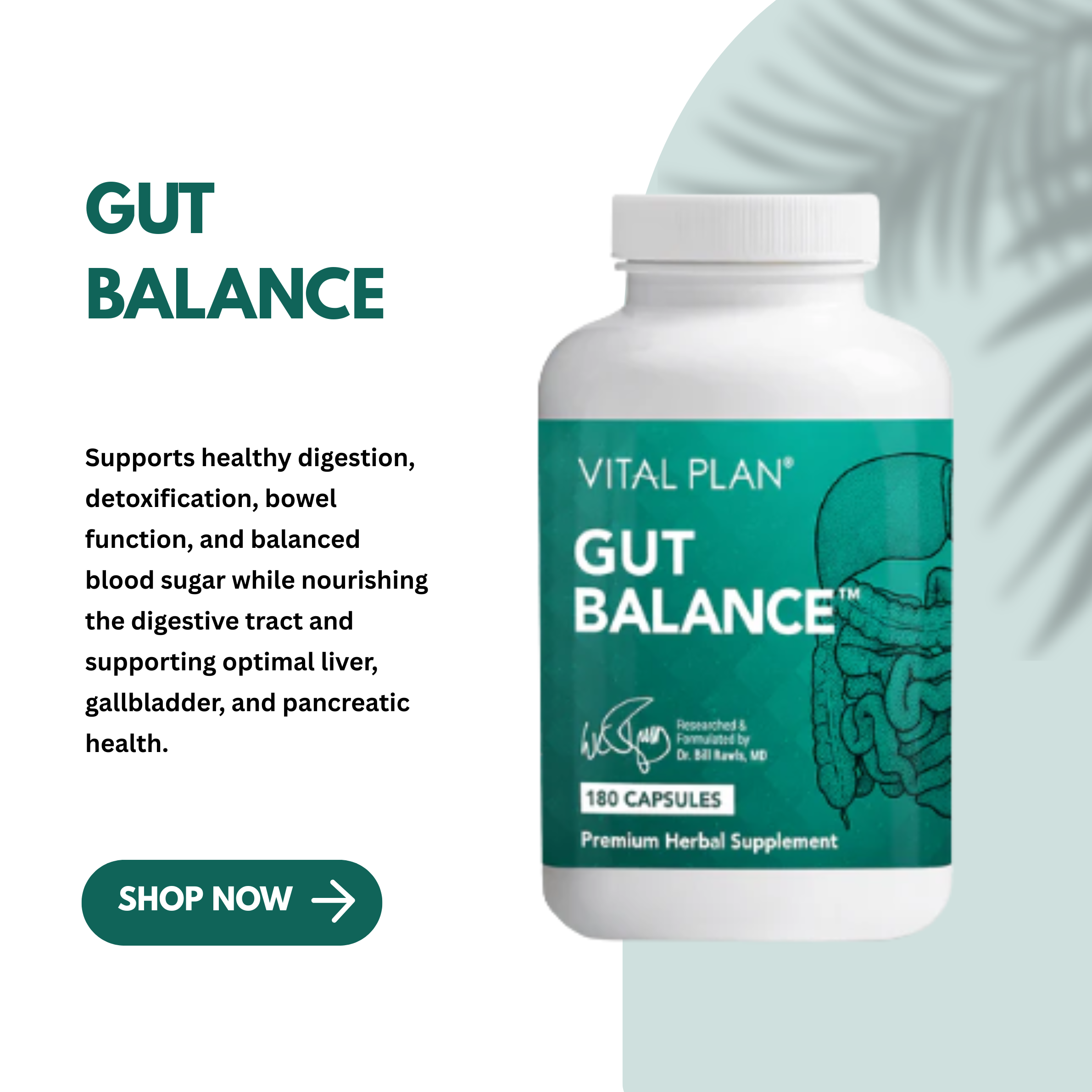 Gut Balance by Vital Plan