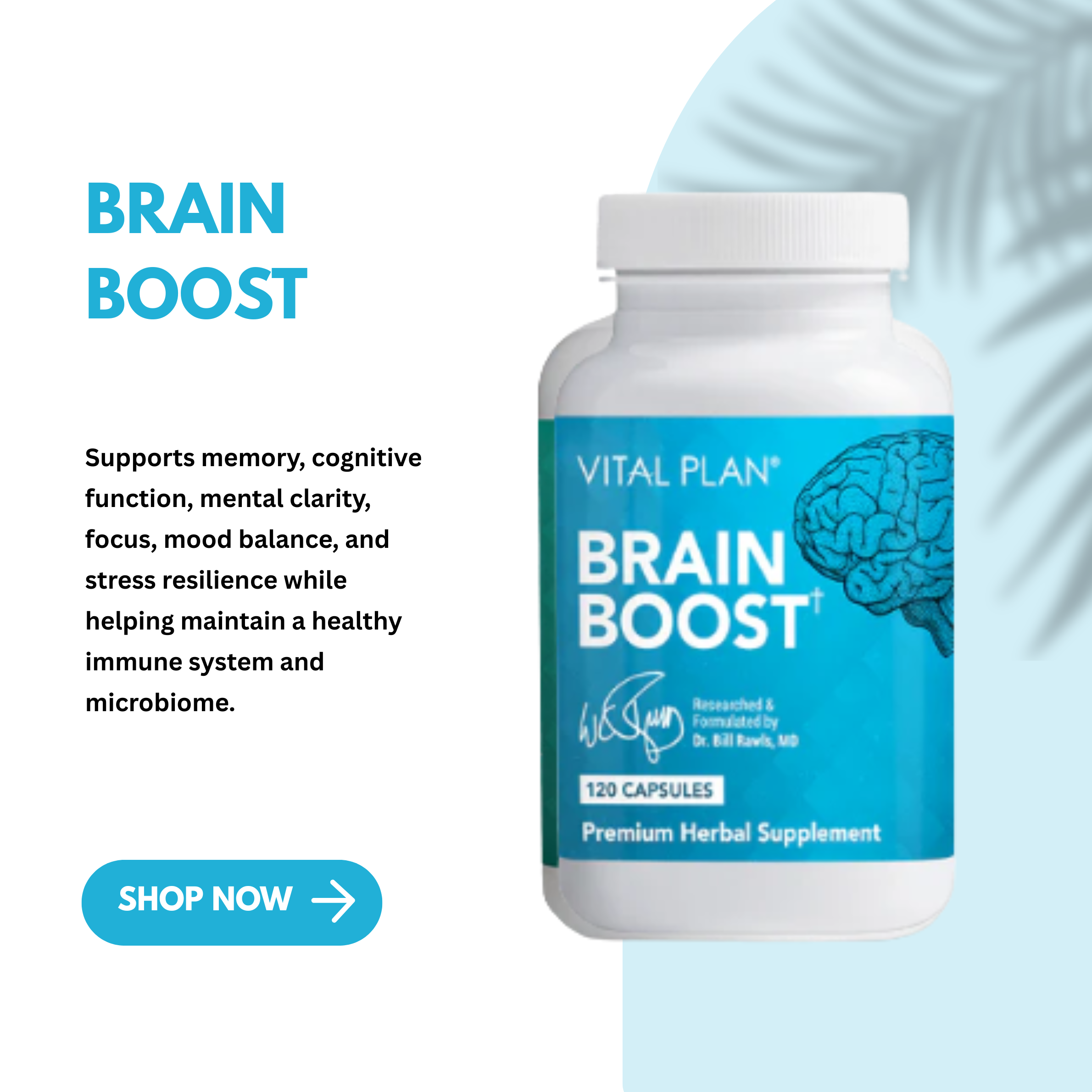 Brain Boost by Vital Plan