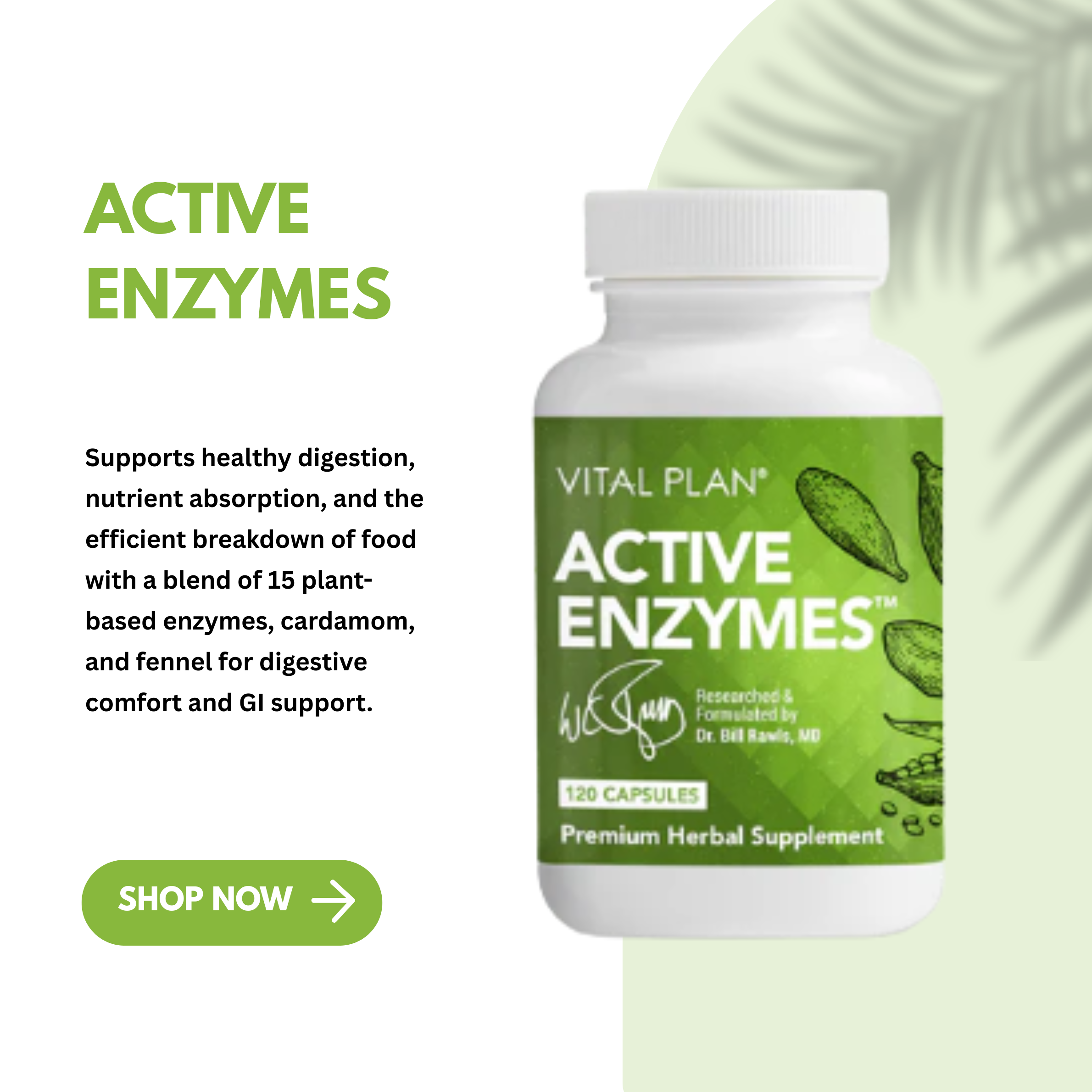 Active Enzymes by Vital Plan